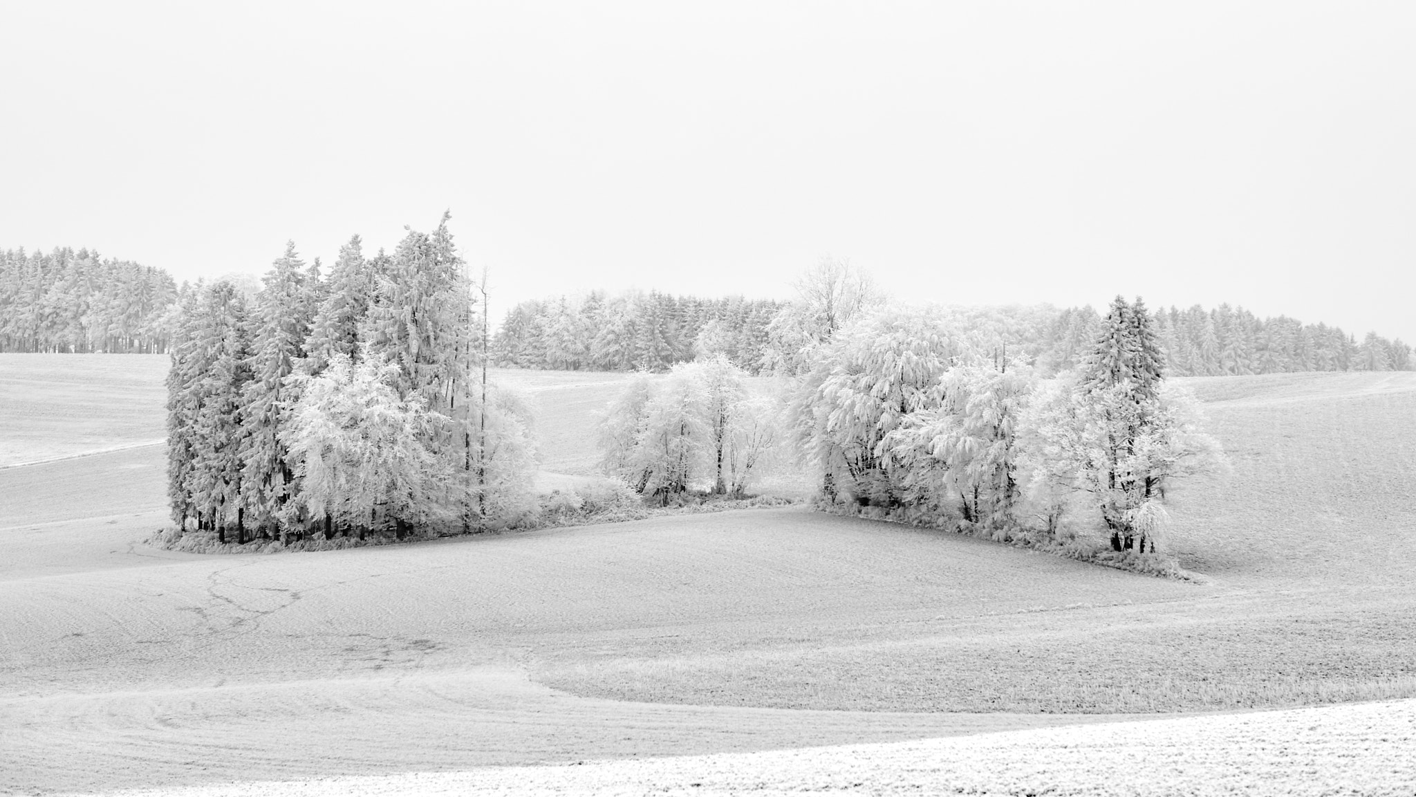 Nikon AF-S Nikkor 70-200mm F2.8G ED VR sample photo. First snow photography