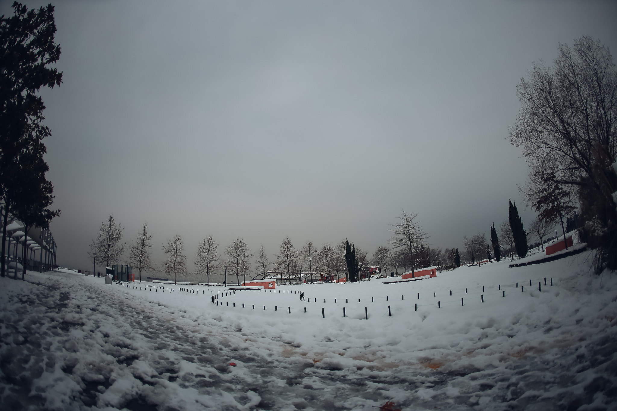 Canon EOS 6D + Canon EF 15mm F2.8 Fisheye sample photo. Img photography