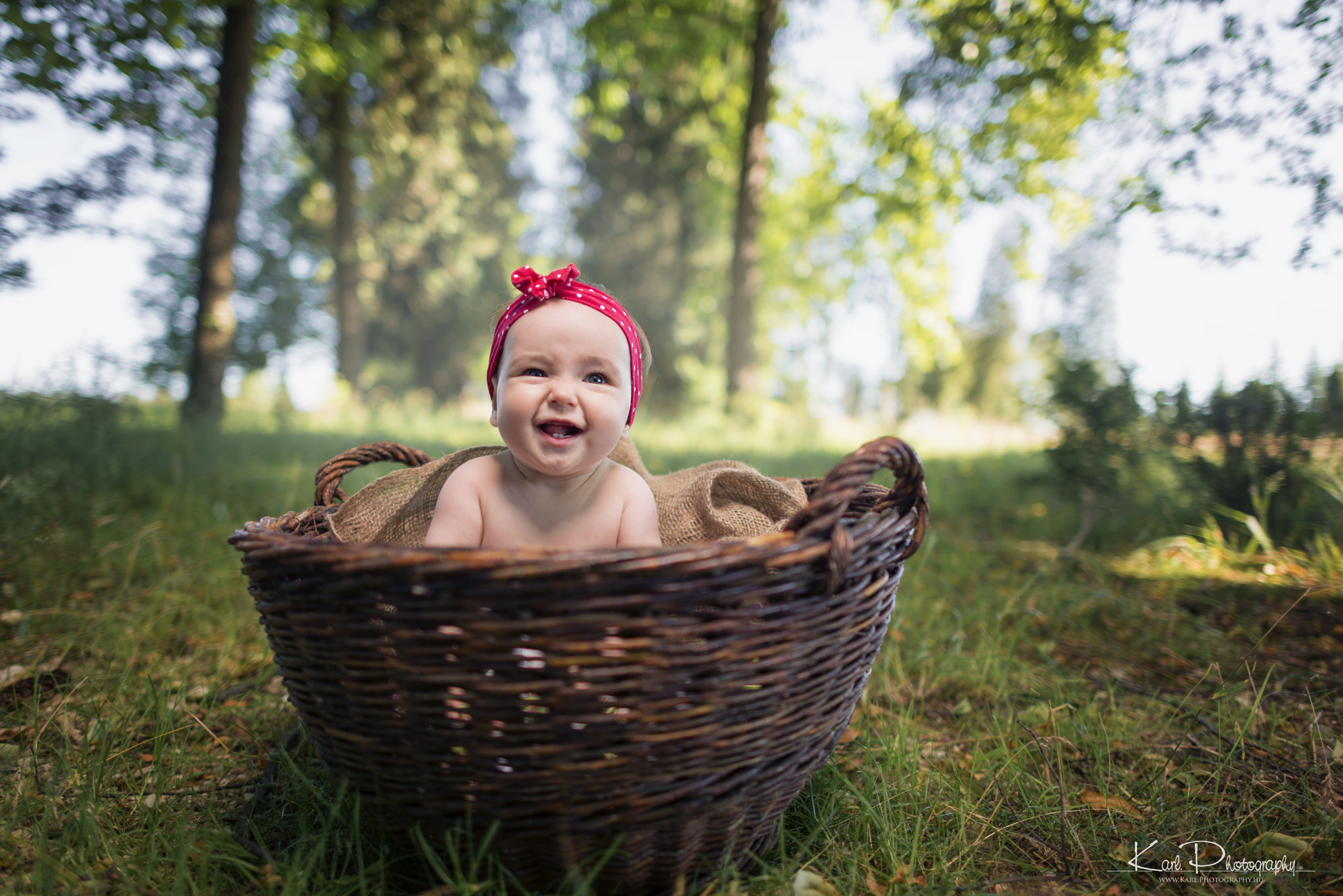 Nikon D800 + Nikon AF-S Nikkor 24mm F1.4G ED sample photo. Baby in a basket -ii photography