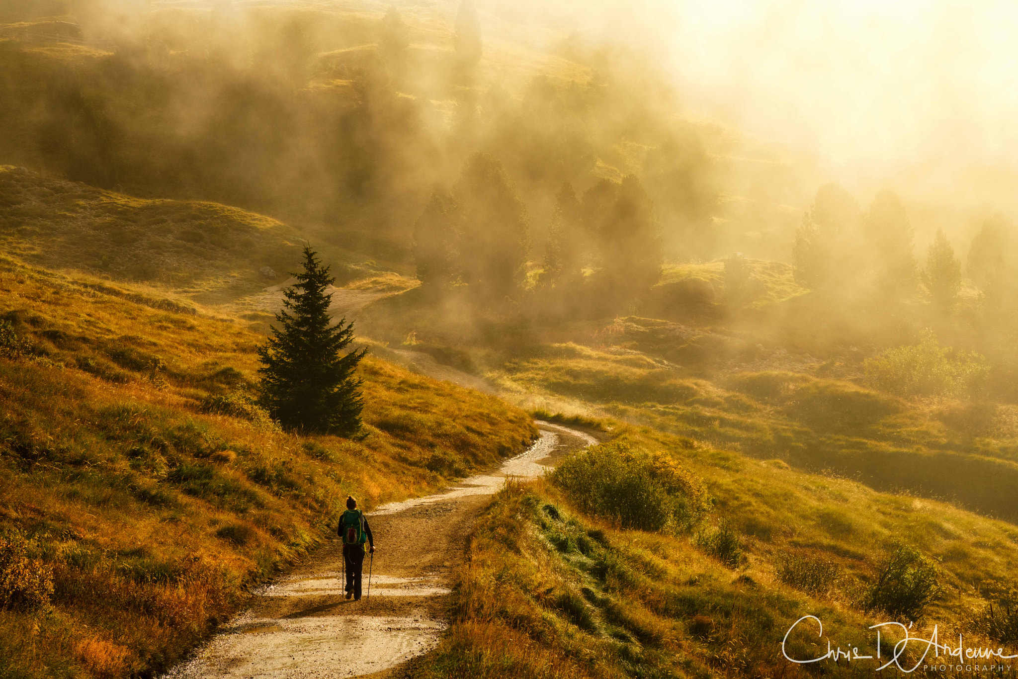 Sony a7R II sample photo. Morning mist photography