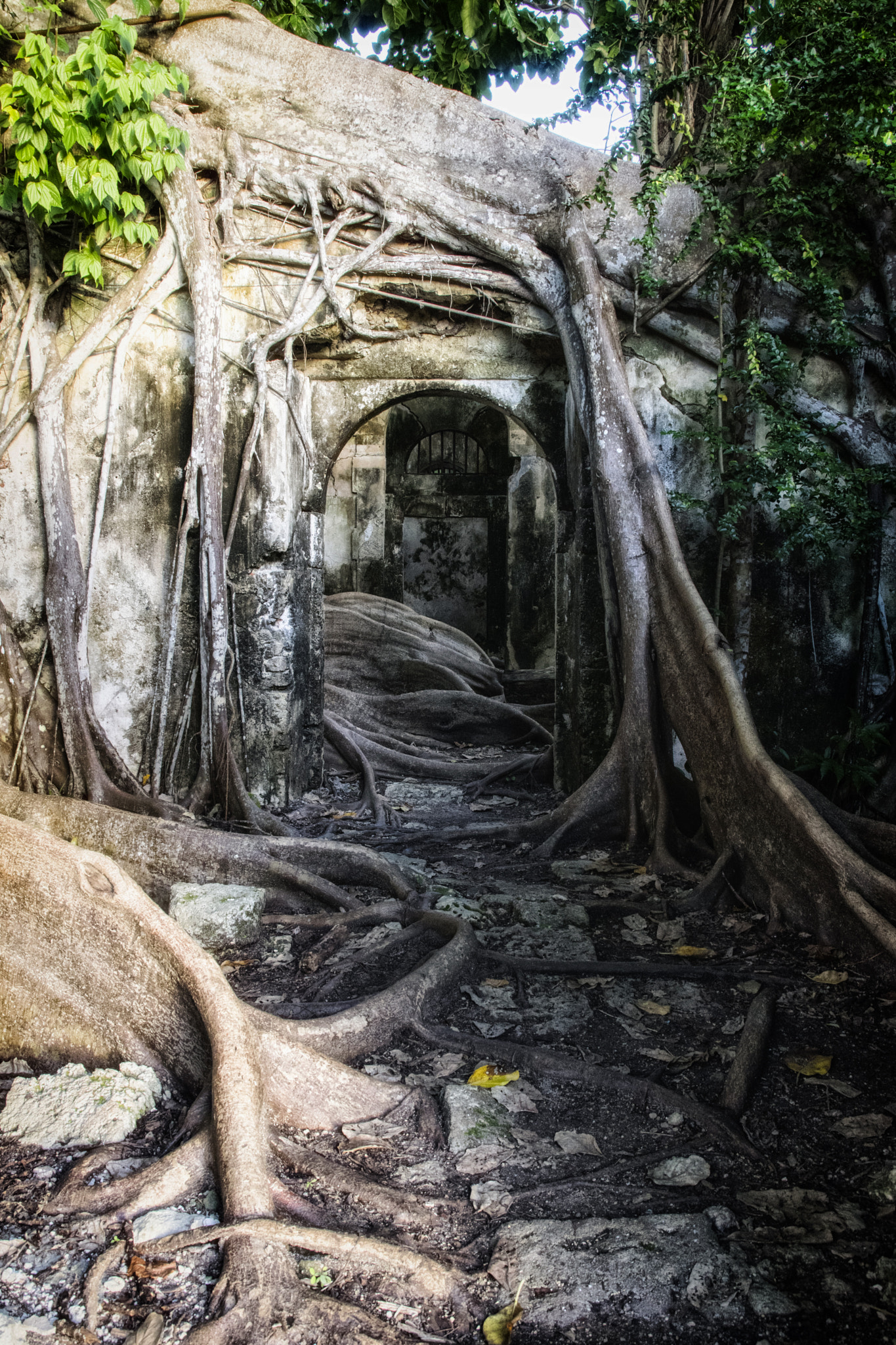 Pentax K-3 II + Sigma 17-70mm F2.8-4 DC Macro HSM | C sample photo. Ancienne prison photography