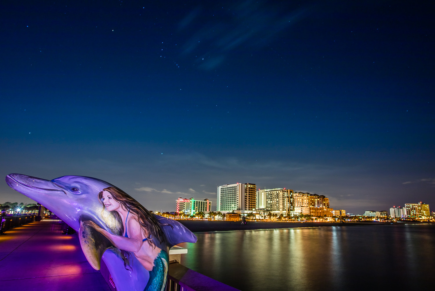 Canon EOS 5DS R + Canon EF 17-40mm F4L USM sample photo. Clearwater， tampa photography