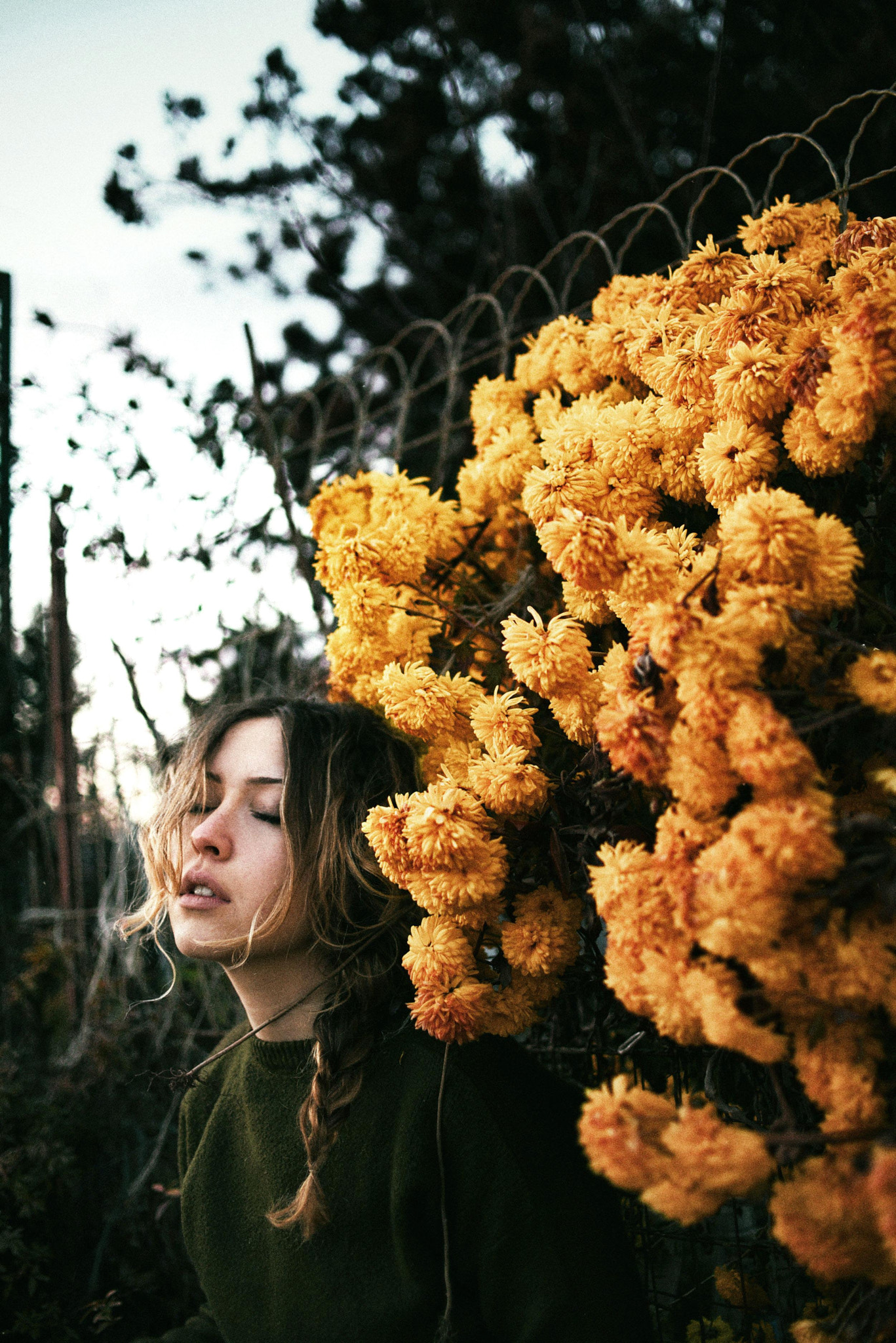 Nikon D750 + Nikon AF-S DX Nikkor 35mm F1.8G sample photo. Cadeuax photography