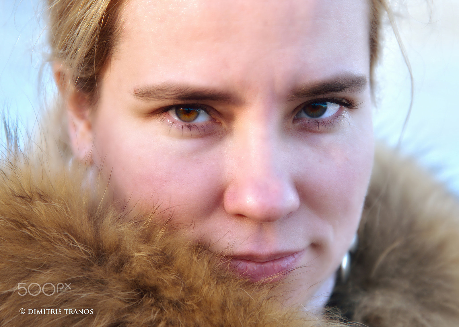 Nikon D750 + Tamron SP 35mm F1.8 Di VC USD sample photo. It's cold outside photography