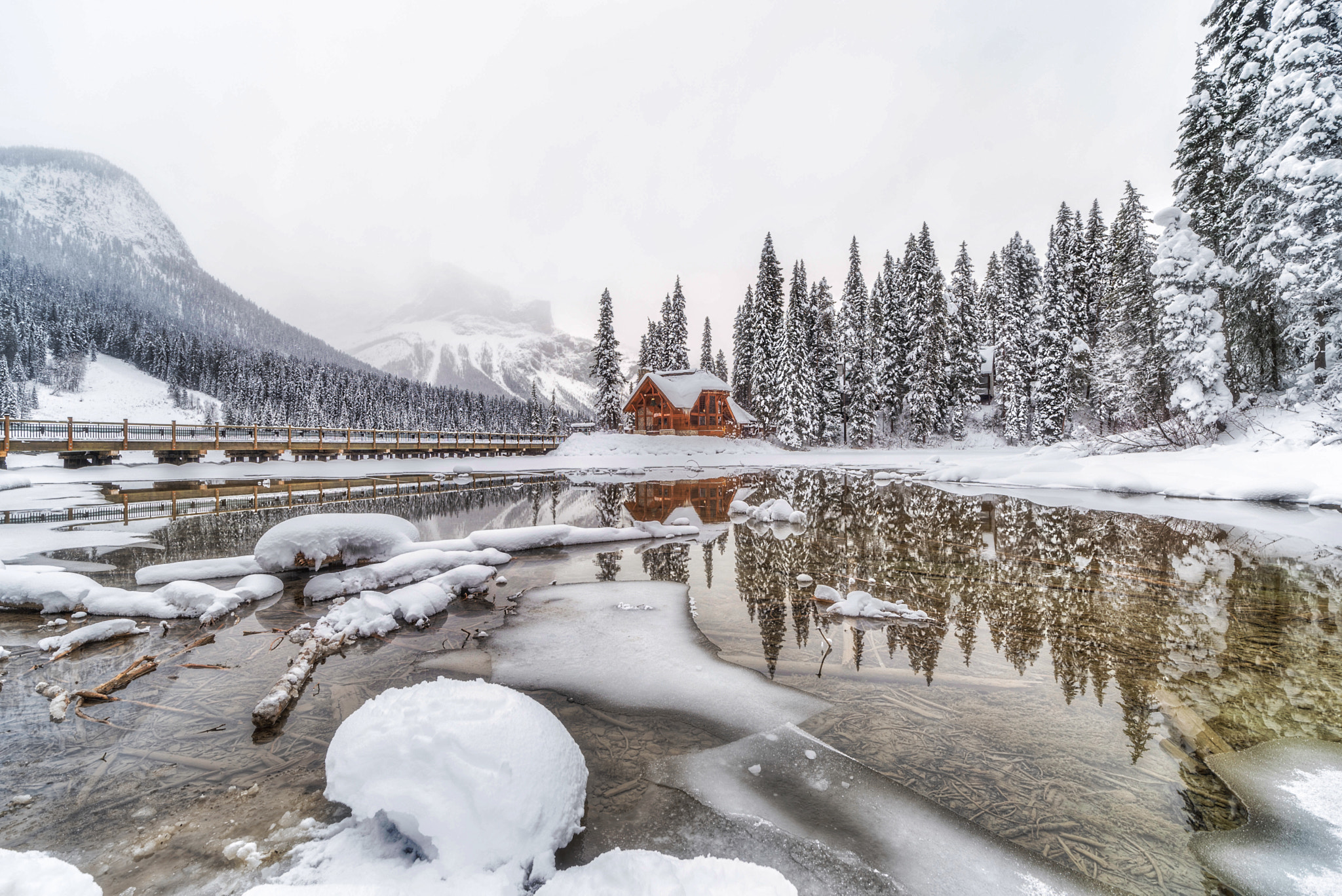ZEISS Distagon T* 15mm F2.8 sample photo. Winter days in yoho national park that saw snows , clearing conditions when i was by emerald lake photography