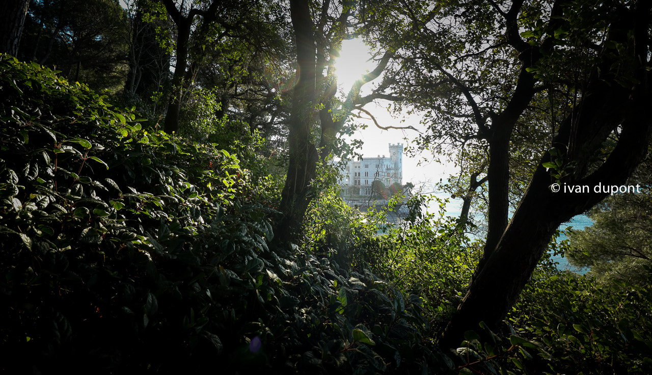 Canon EF-M 11-22mm F4-5.6 IS STM sample photo. Castello di miramare, trieste, italia photography