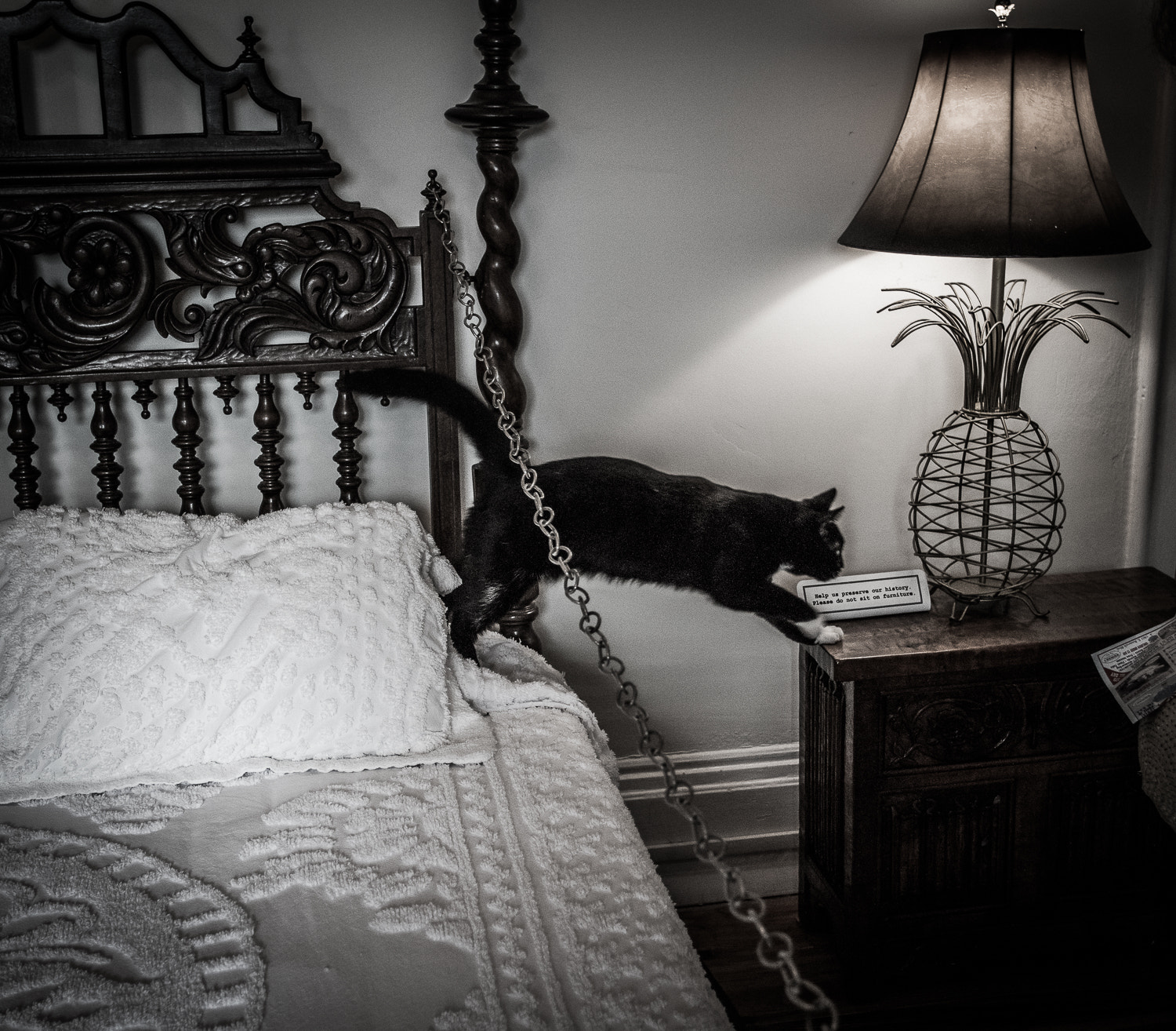 Canon EOS 5DS R + Canon EF 17-40mm F4L USM sample photo. Cat of hemingway badroom photography