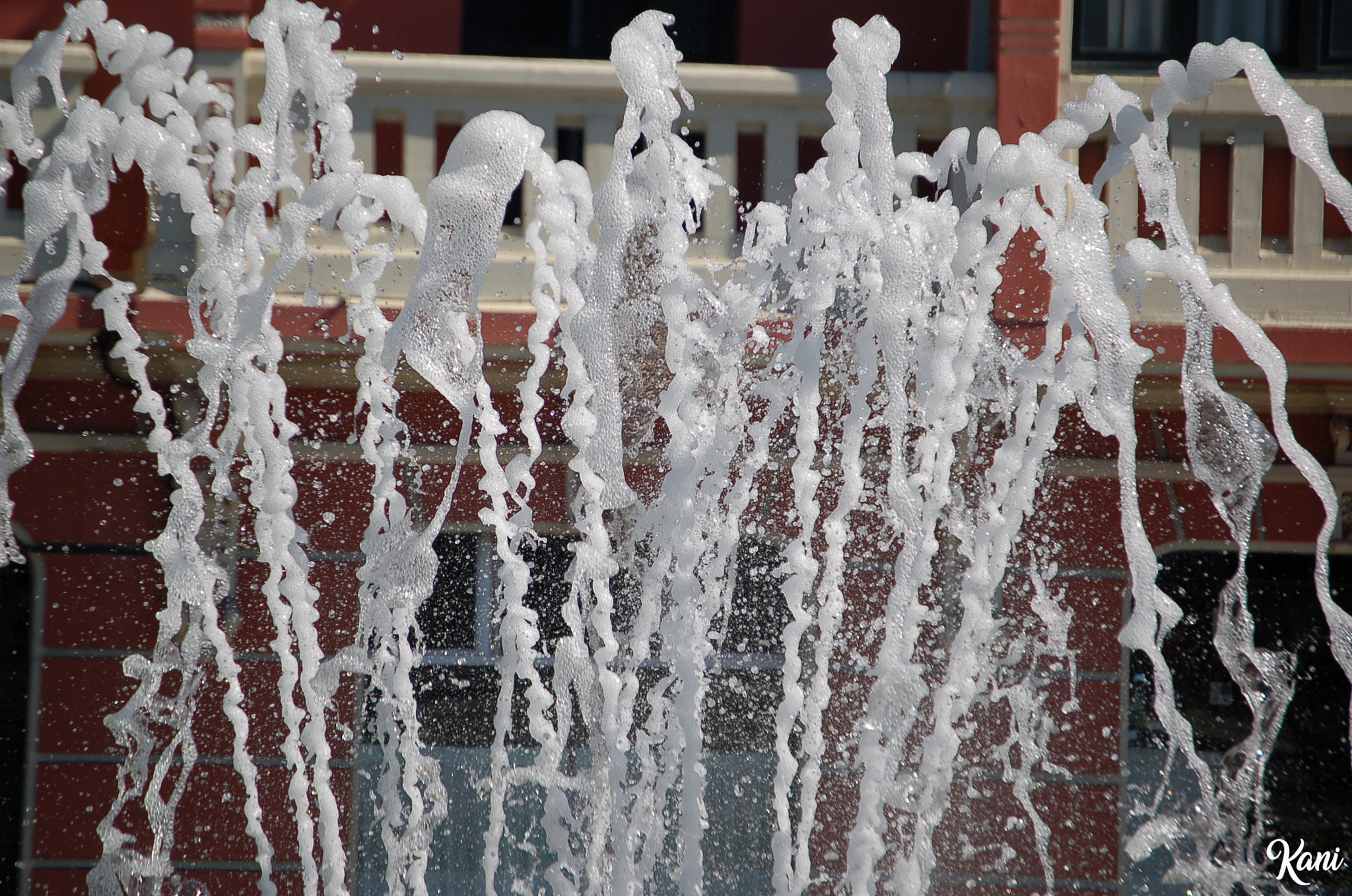 Nikon D50 sample photo. Fuente inmovil photography