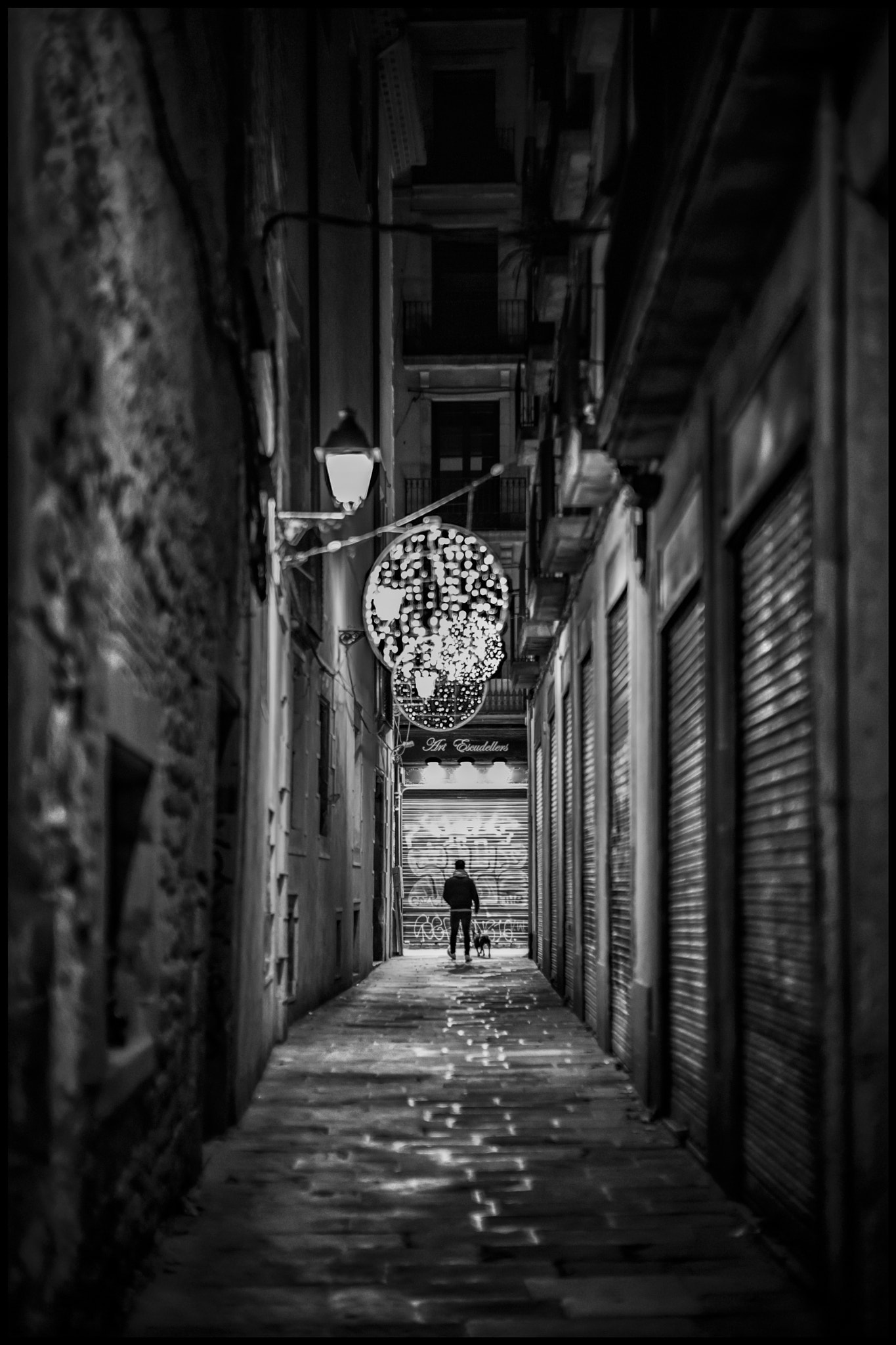Leica Noctilux-M 50mm F0.95 ASPH sample photo. Walking the dog ....... photography