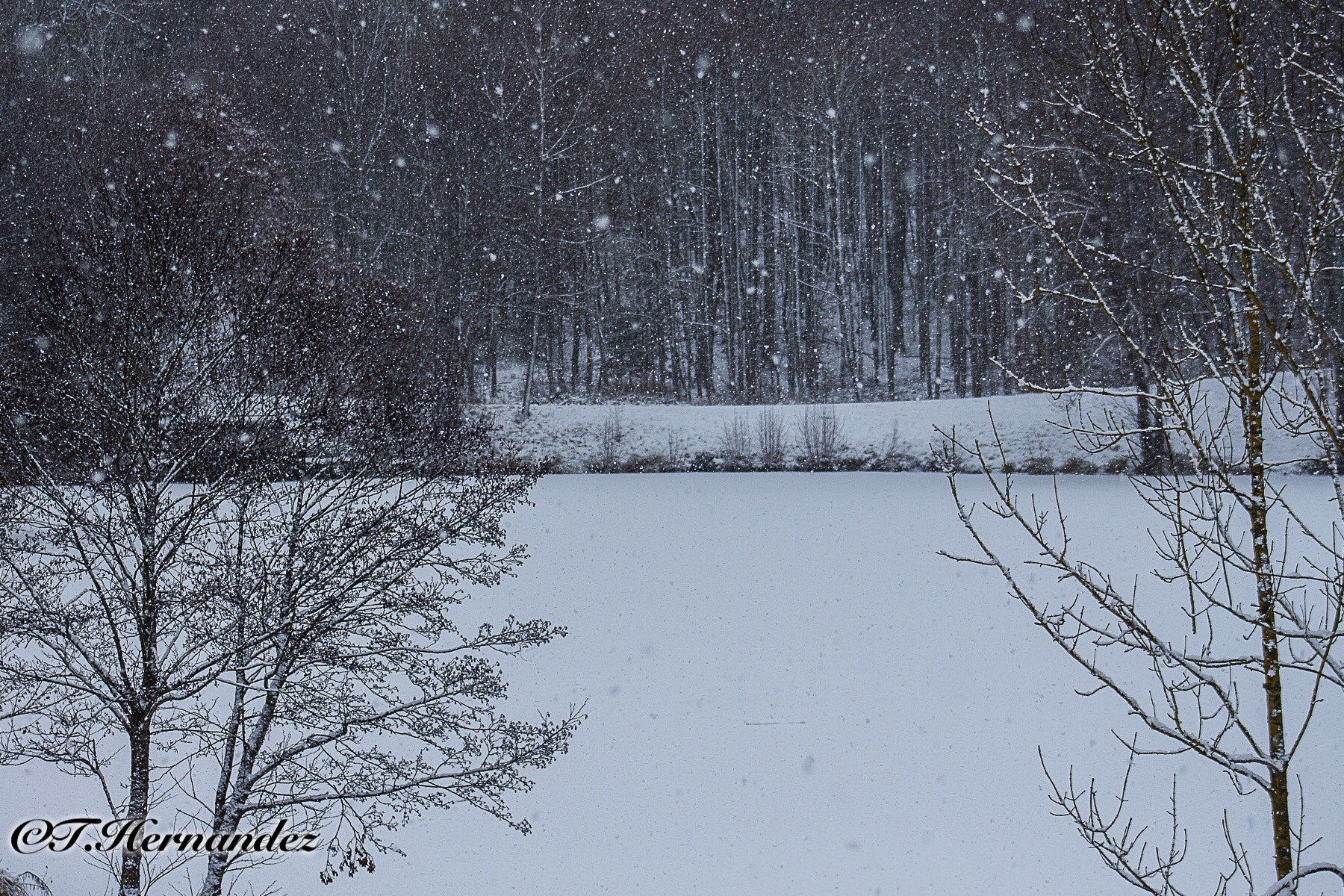 Canon EF 75-300mm f/4-5.6 USM sample photo. Snow day photography