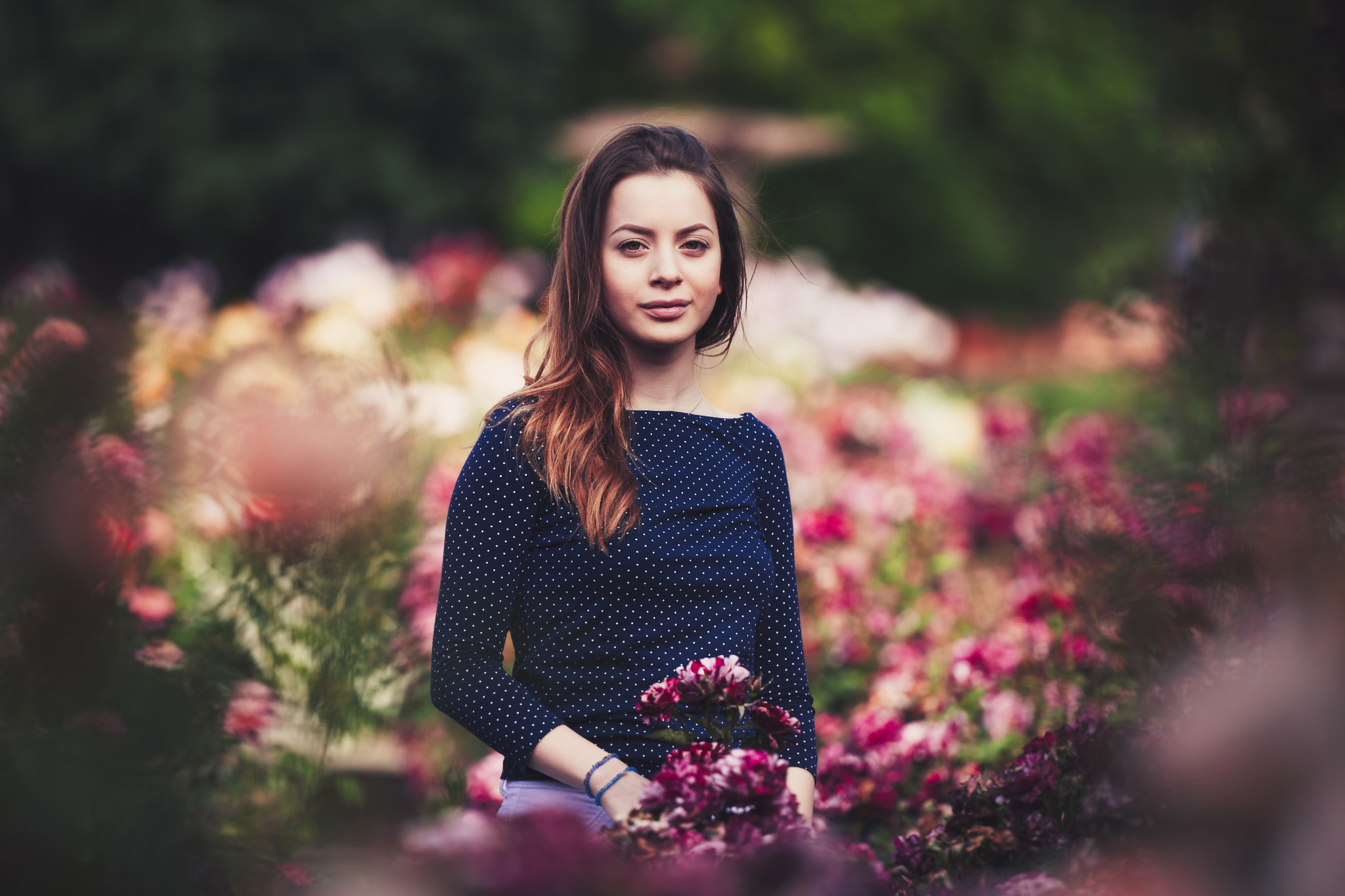 Nikon D3X sample photo. Rose photography