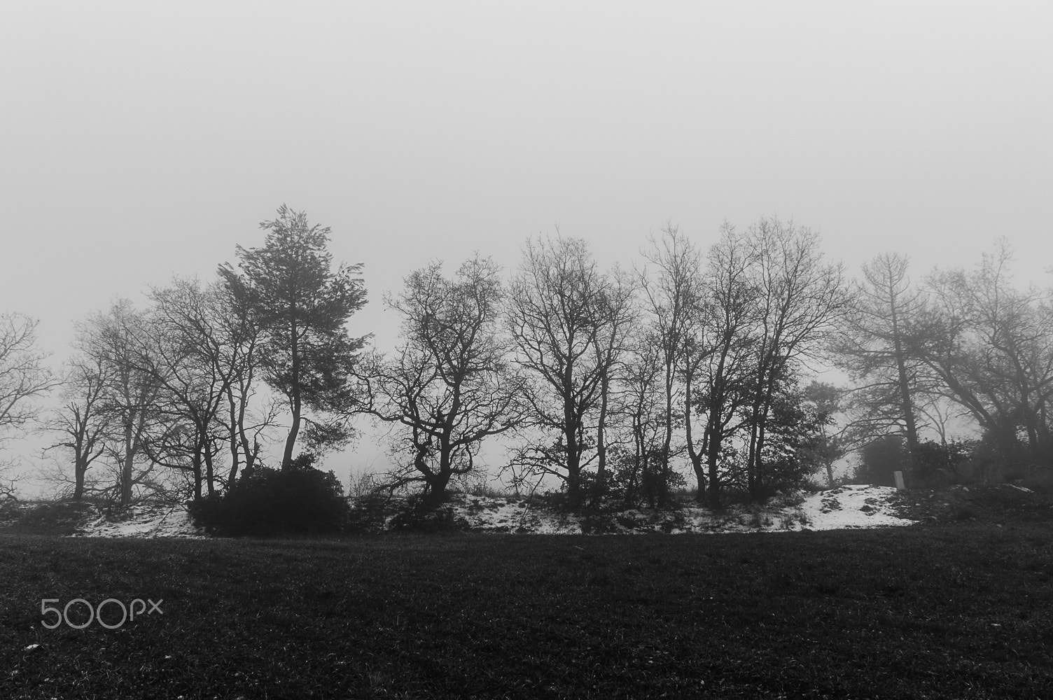 Sigma 17-70mm F2.8-4 DC Macro OS HSM | C sample photo. Thick fog photography