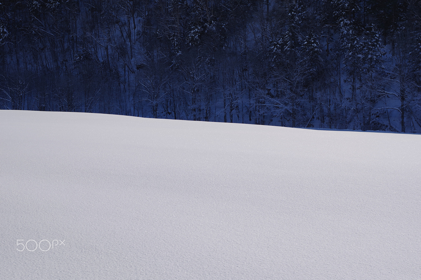 Pentax K-70 sample photo. Winter line photography