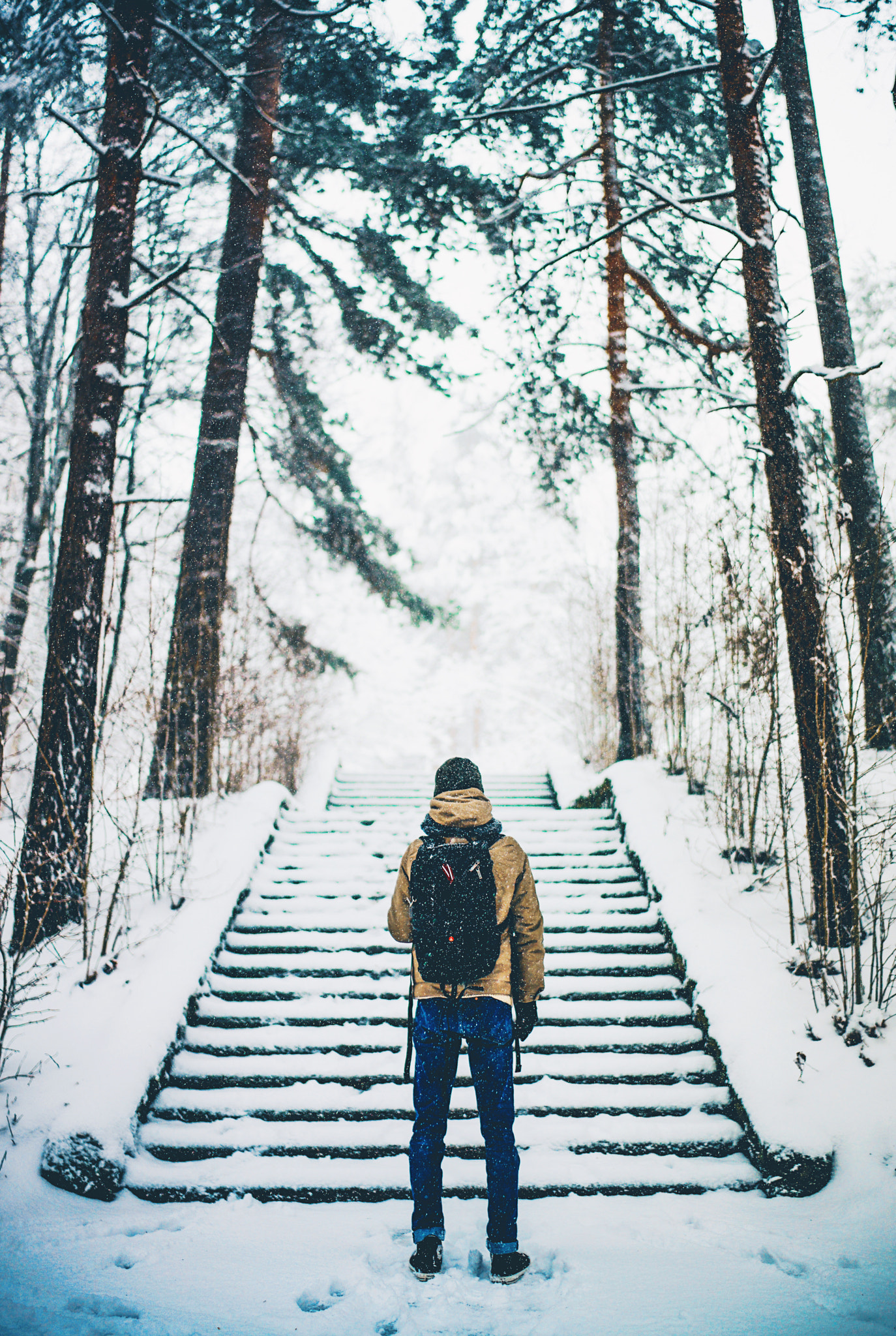 Sony a7R + Sony Distagon T* FE 35mm F1.4 ZA sample photo. Winter photography