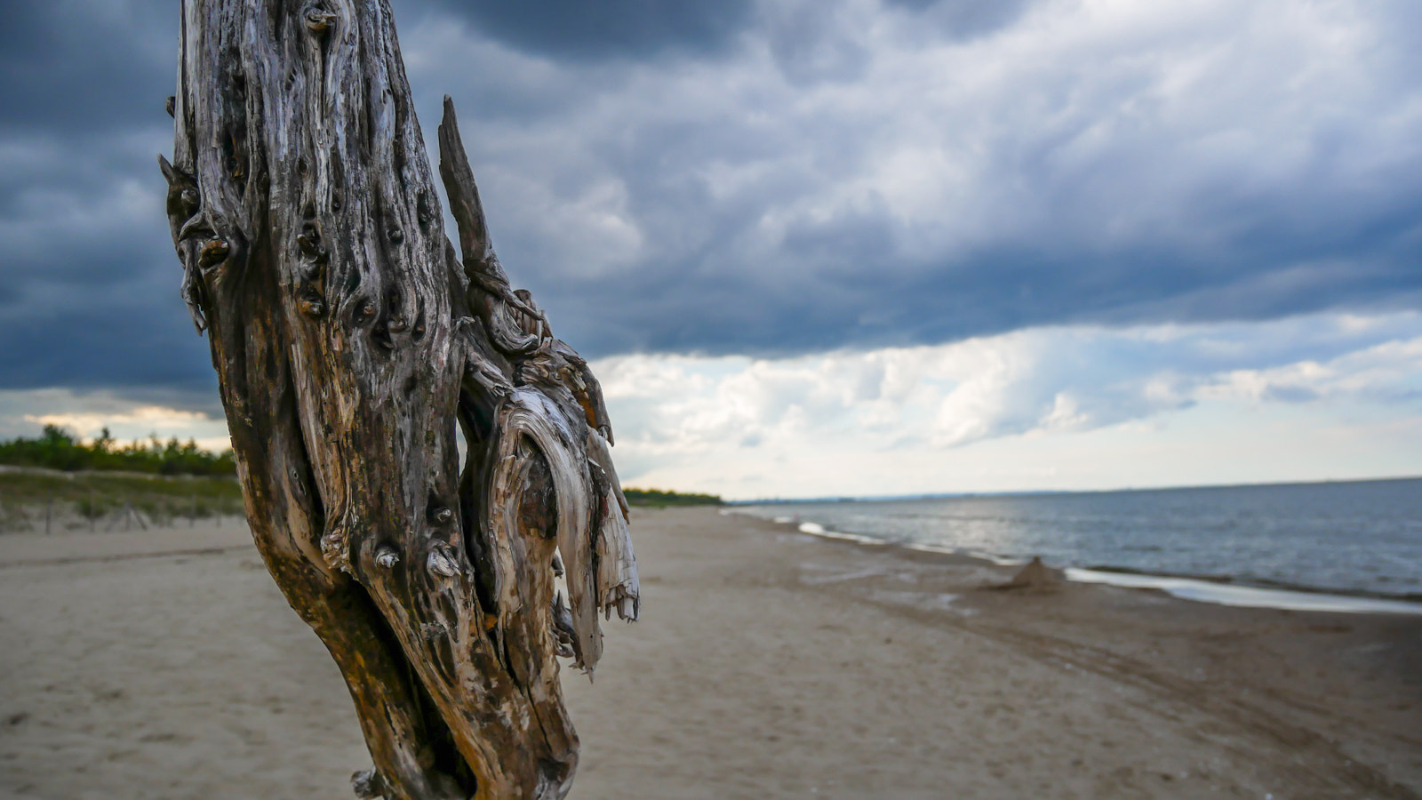 Panasonic Lumix DMC-GX85 (Lumix DMC-GX80 / Lumix DMC-GX7 Mark II) sample photo. Poland - gdansk photography