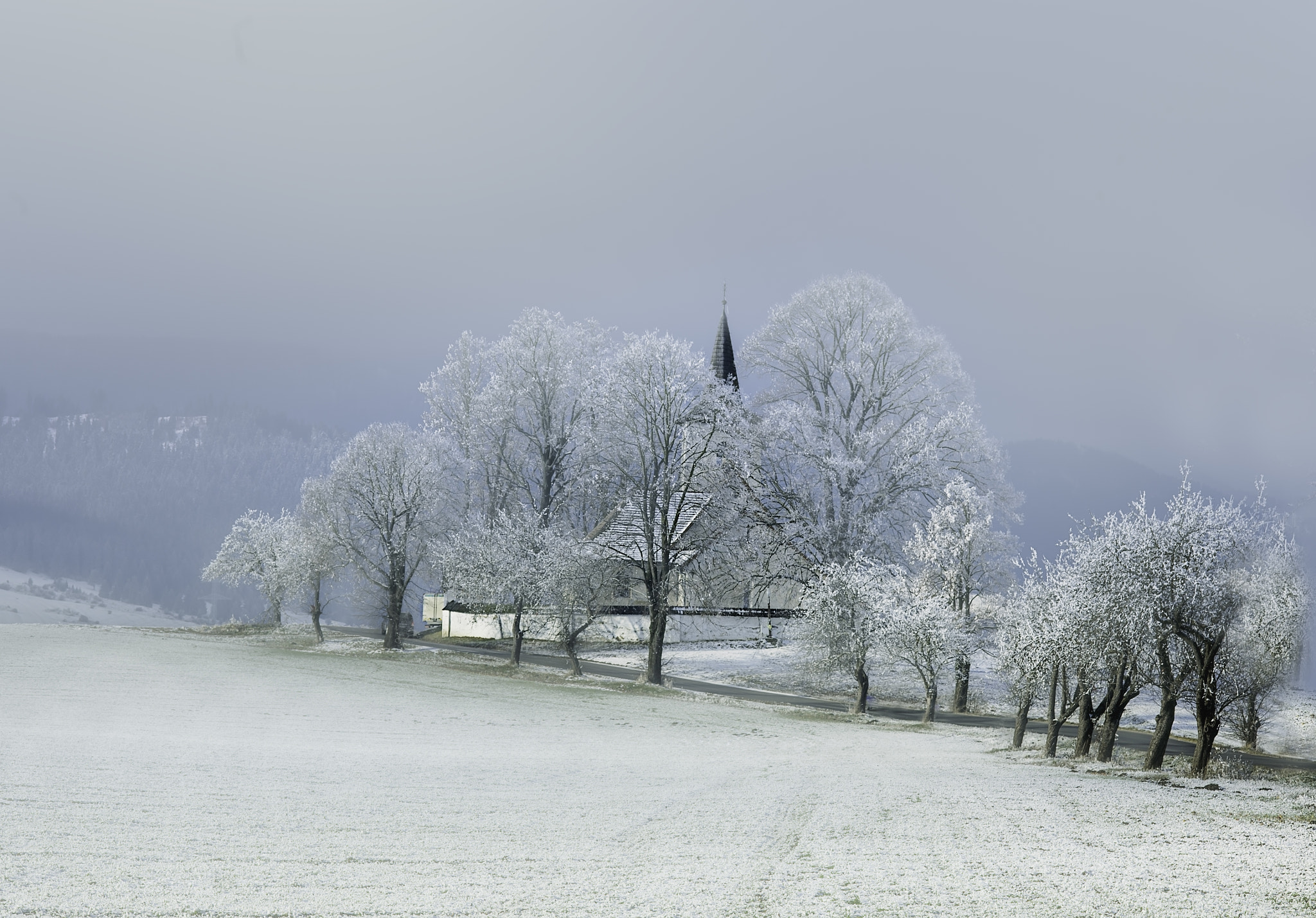 ZEISS Makro-Planar T* 100mm F2 sample photo. Winter photography