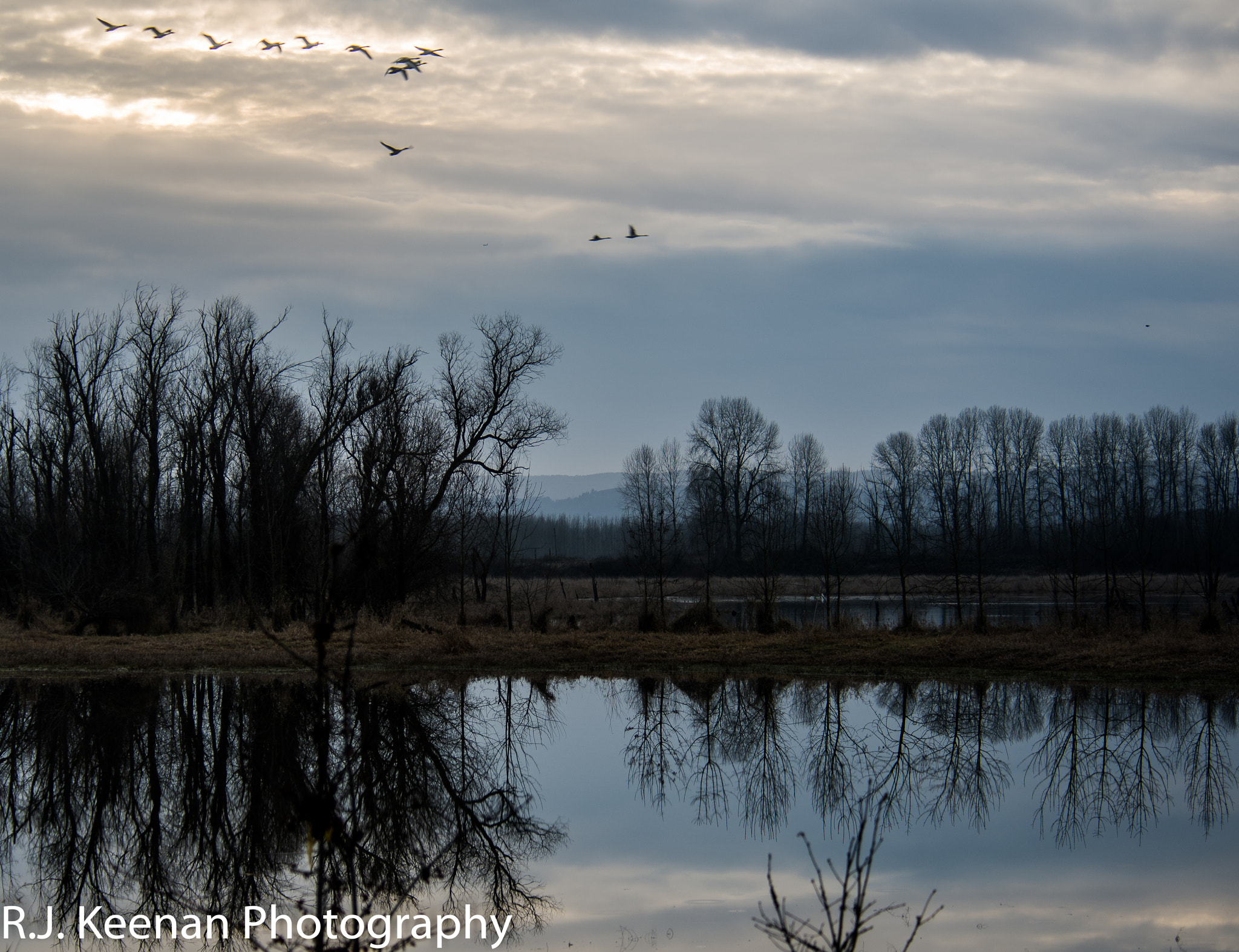 Nikon D600 sample photo. Winter reflections photography