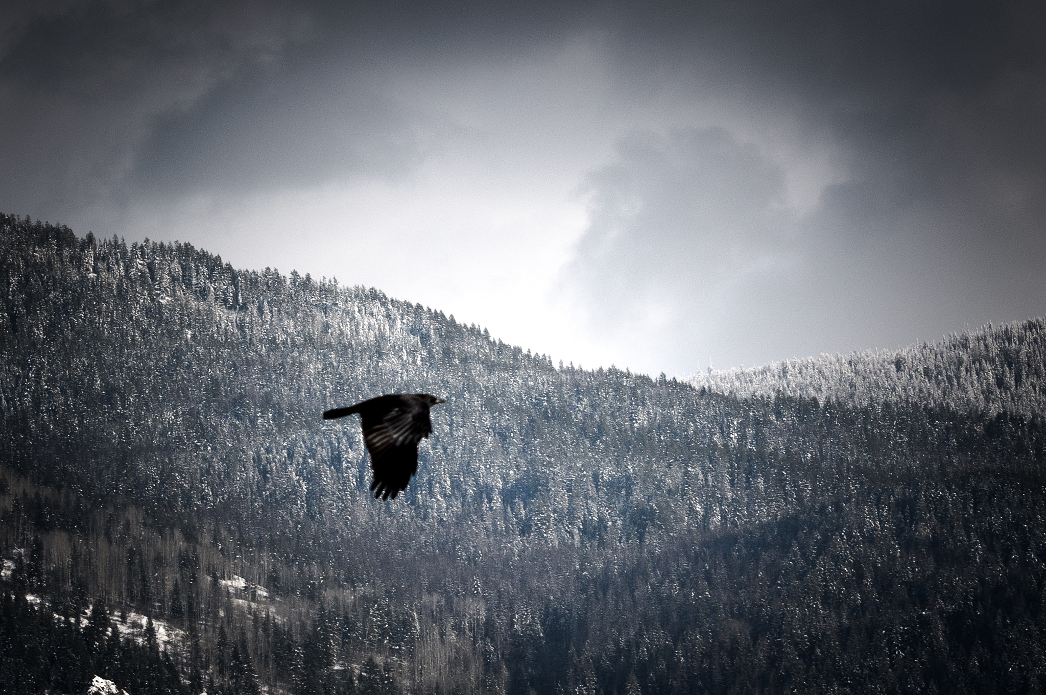 Nikon D5500 sample photo. Crow mountain photography