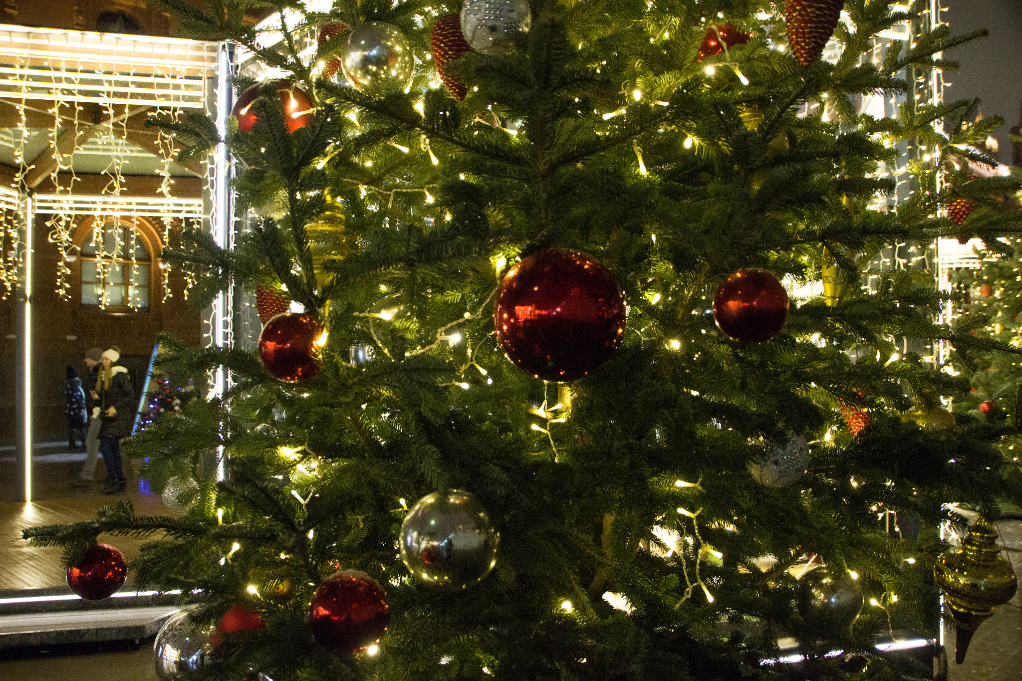 Sigma 18-250mm F3.5-6.3 DC OS HSM sample photo. Christmas tree photography