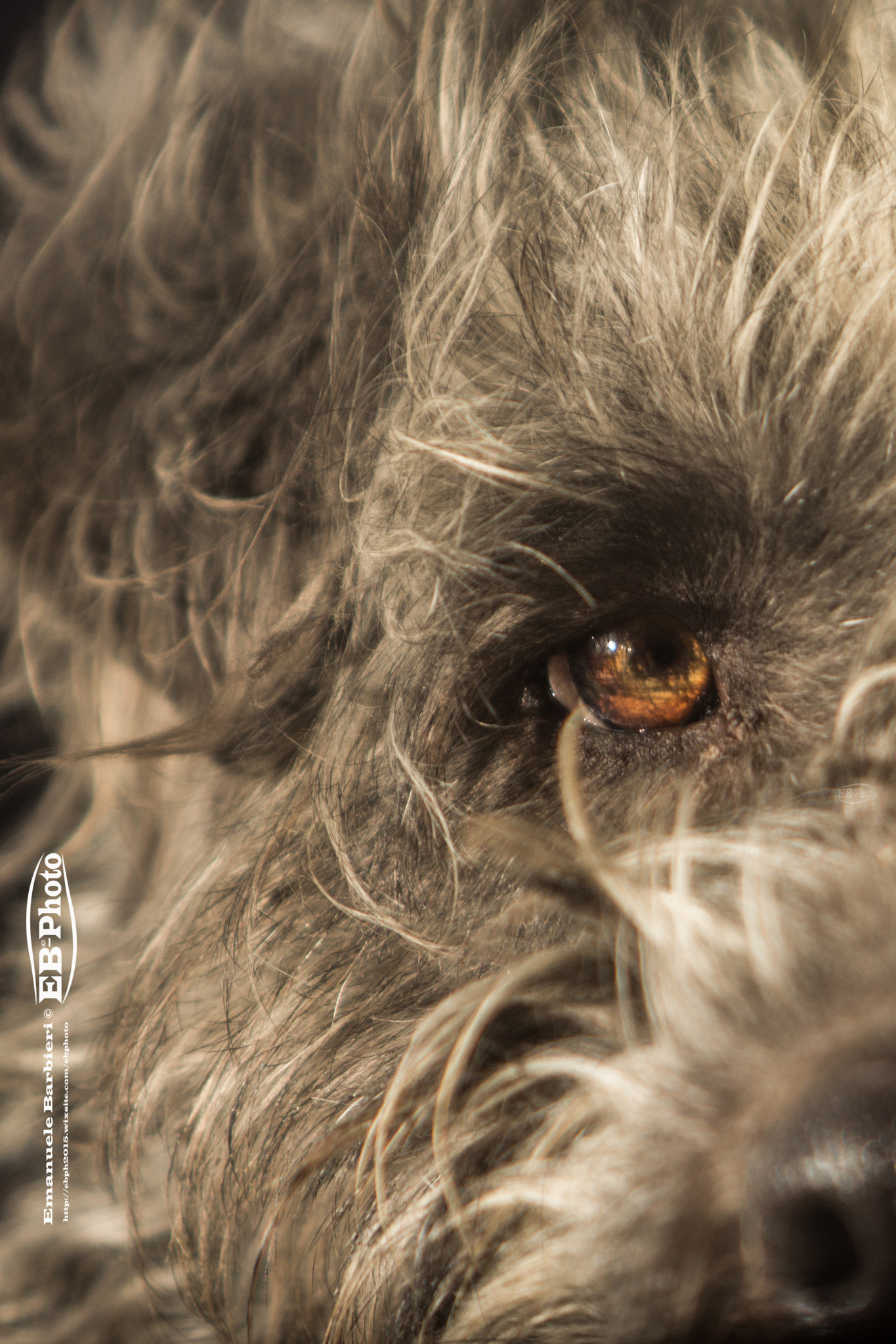 Canon EF 70-200mm F2.8L USM sample photo