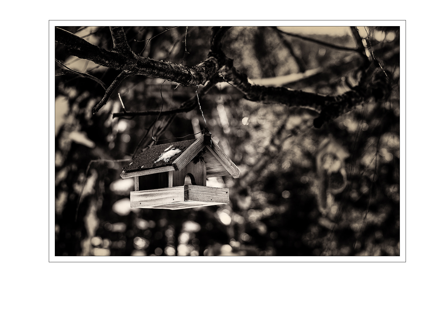 Nikon D5 + Nikon AF-S Nikkor 50mm F1.8G sample photo. Bird box photography