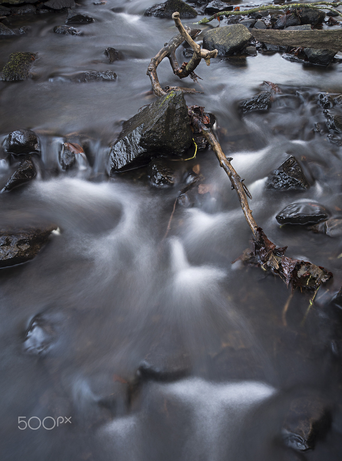 Sigma AF 10-20mm F4-5.6 EX DC sample photo. Stream with tree branch photography