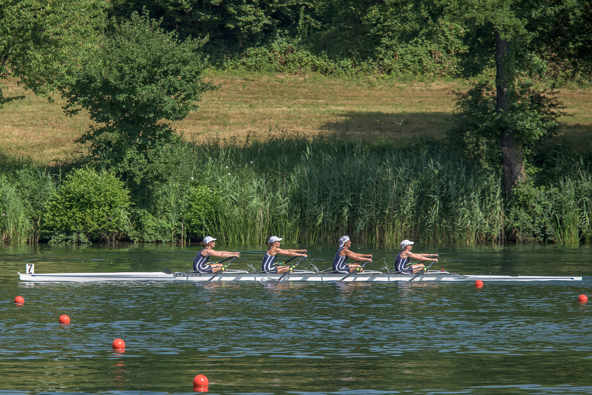 Sigma 70-200mm F2.8 EX DG OS HSM sample photo. Rowing, rowing, rowing photography
