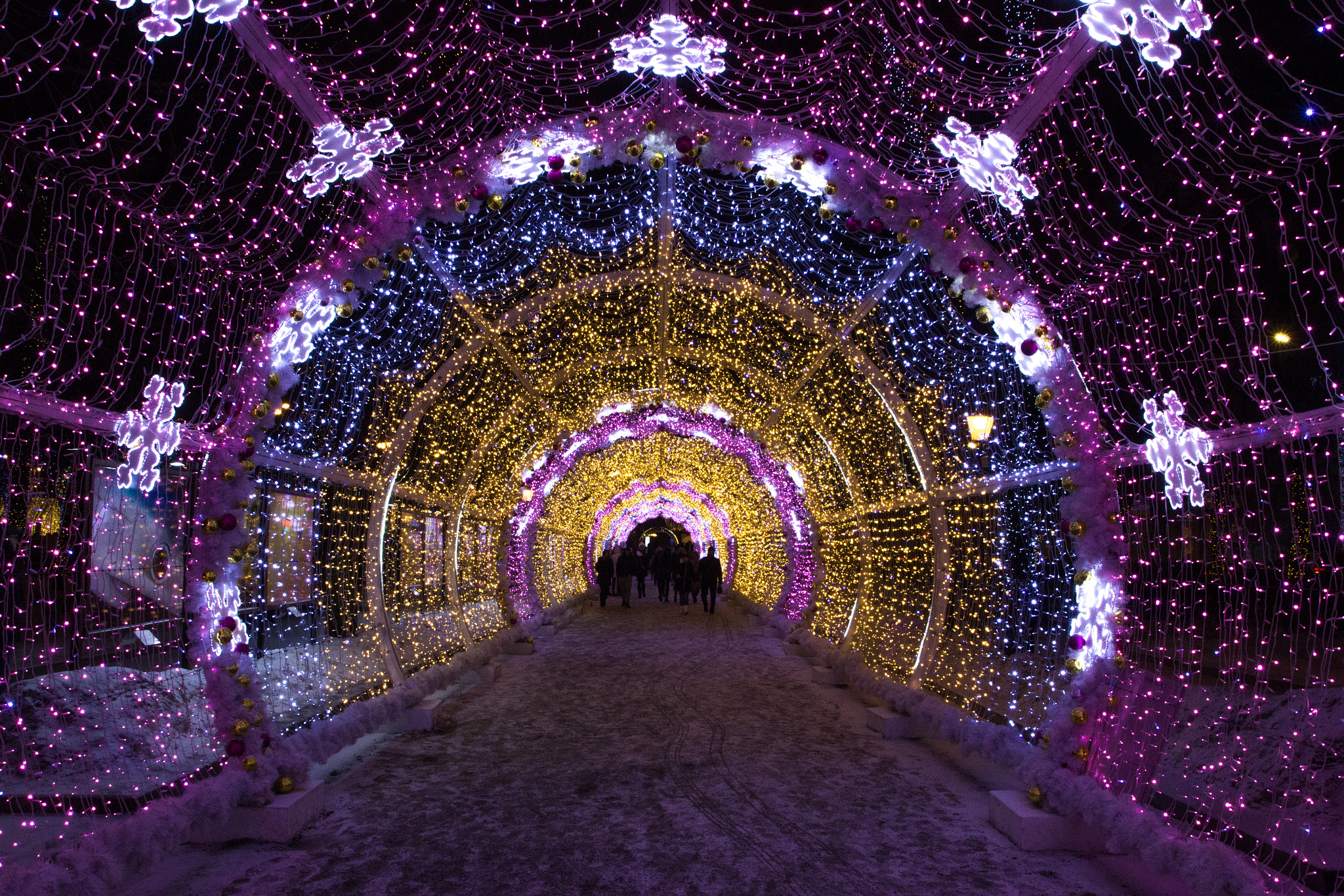 Sigma 18-250mm F3.5-6.3 DC OS HSM sample photo. Tunnel of light photography