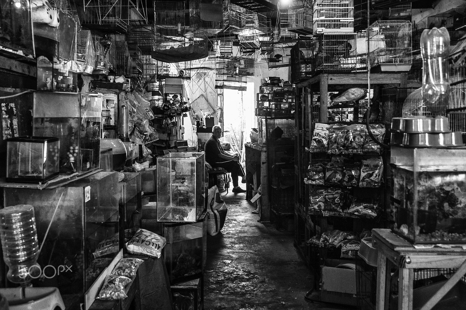 Samsung NX200 + Samsung NX 20-50mm F3.5-5.6 ED sample photo. Campina grande, brazil, 2017 photography