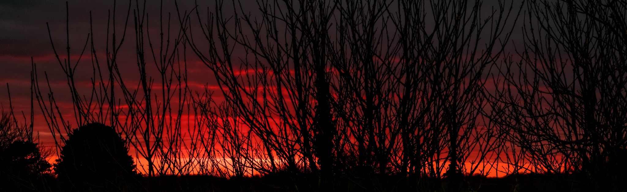 Sigma 18-300mm F3.5-6.3 DC Macro HSM sample photo. Burning sky photography