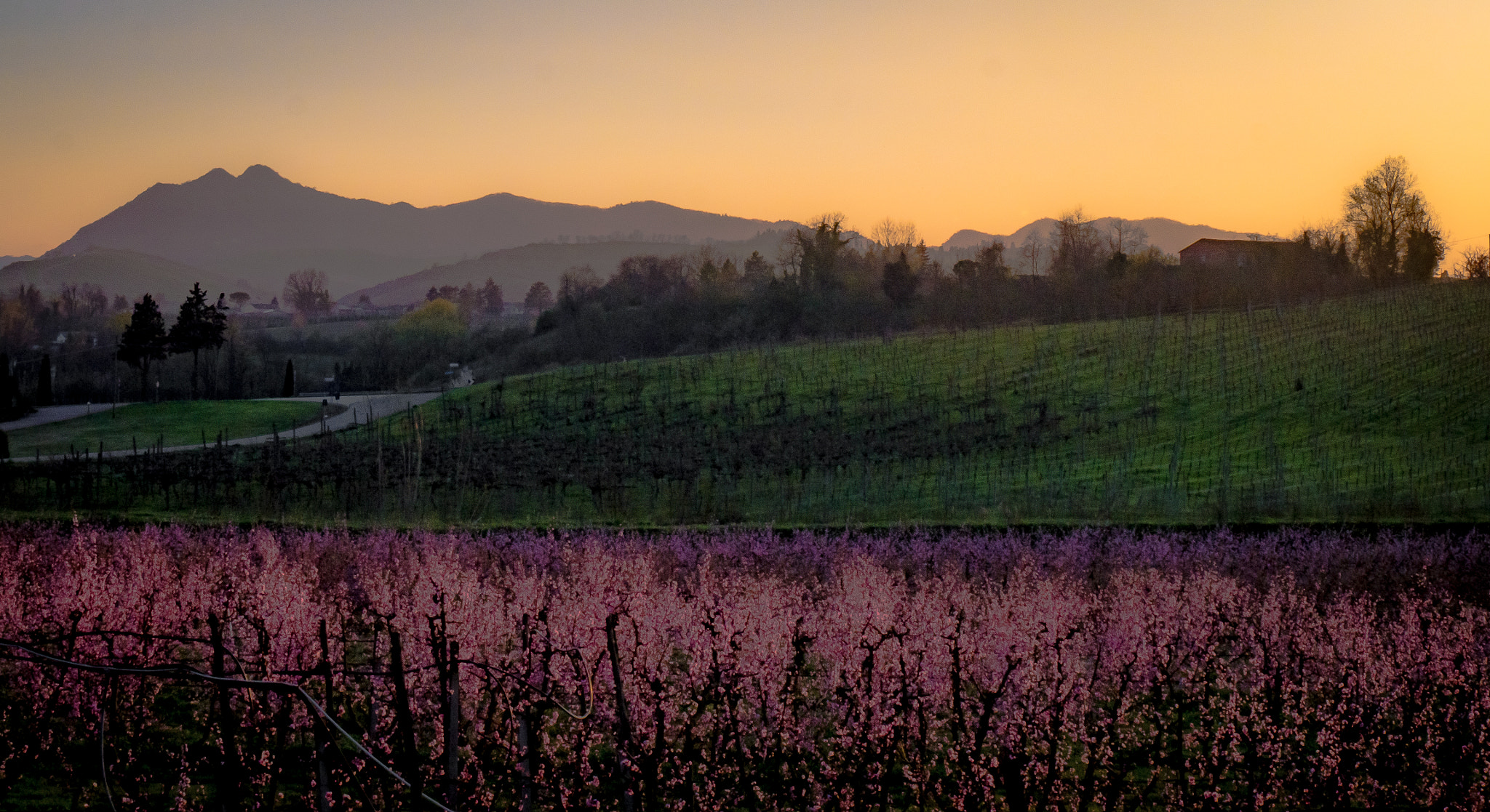 Panasonic Lumix DMC-G6 sample photo. Countryside at spring near senio river photography