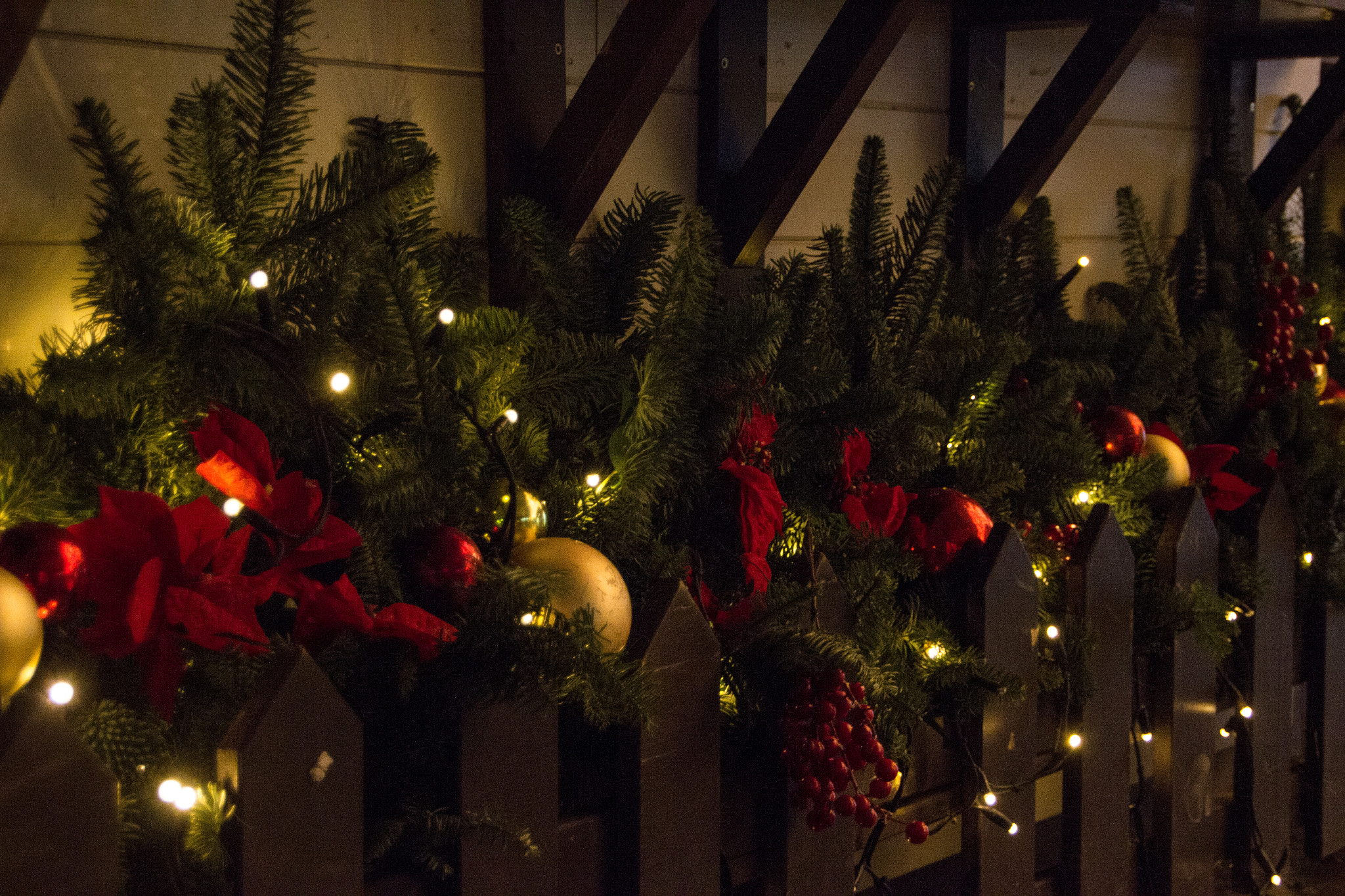 Sigma 18-250mm F3.5-6.3 DC OS HSM sample photo. Christmas photography