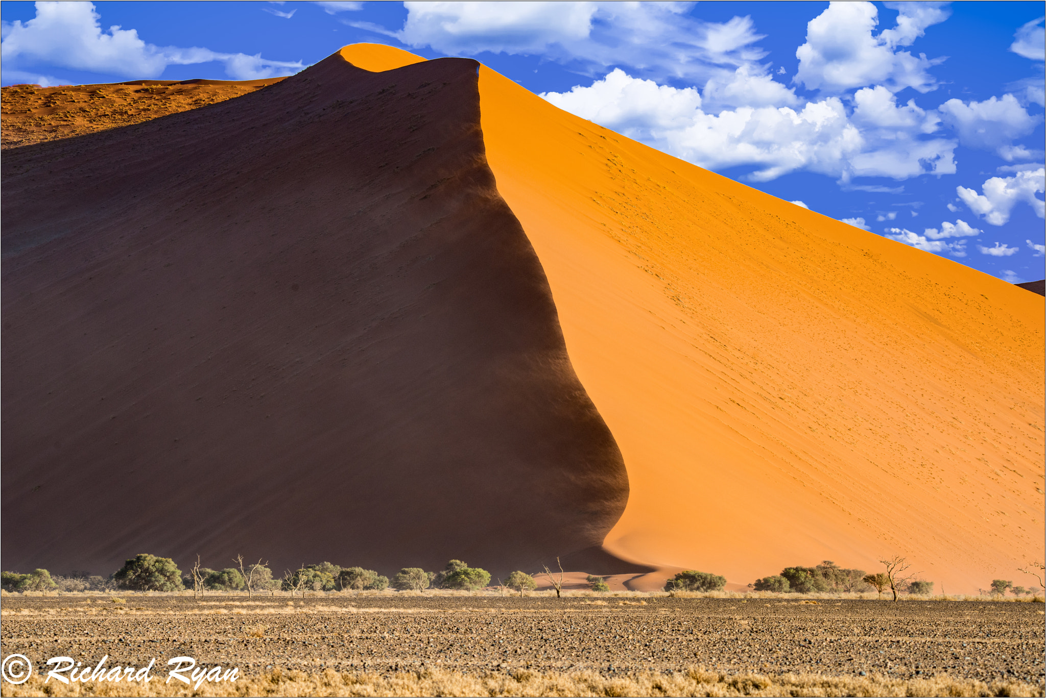 Nikon D800 sample photo. Namib desert photography