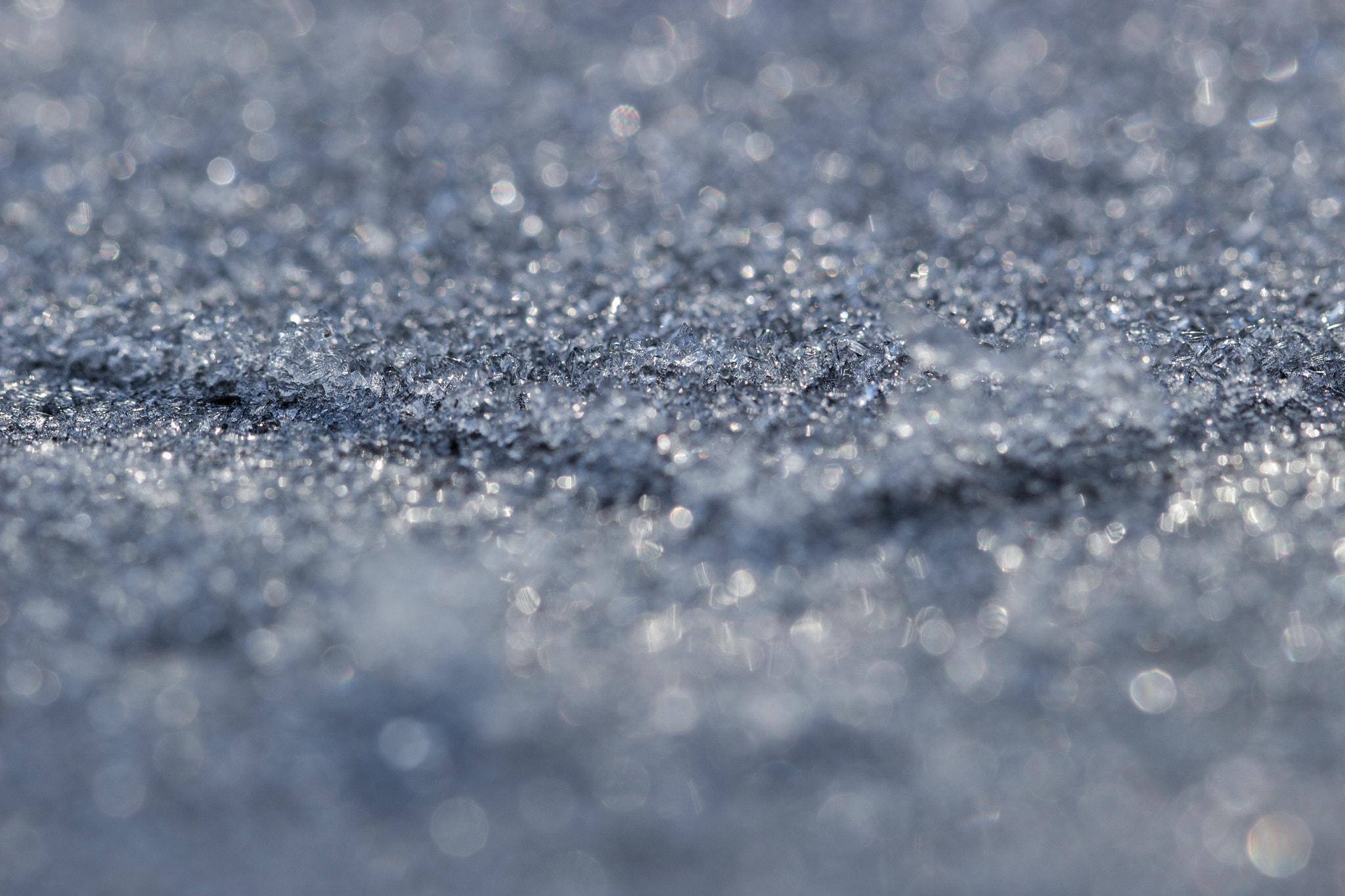 Canon EF 100mm F2.8L Macro IS USM sample photo. A cold winter photography