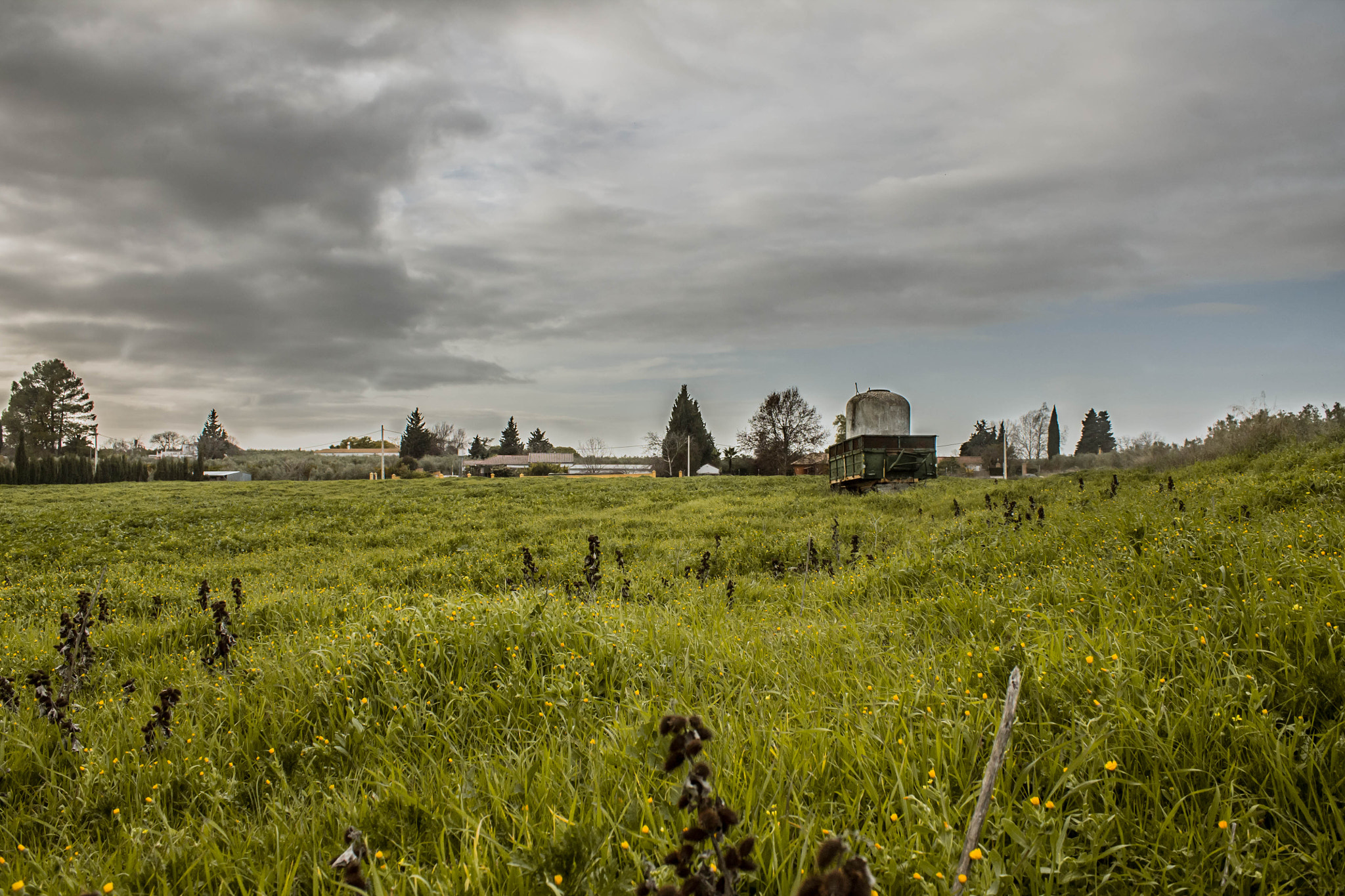 Canon EF-S 18-55mm F3.5-5.6 IS sample photo. Campo nublado... photography