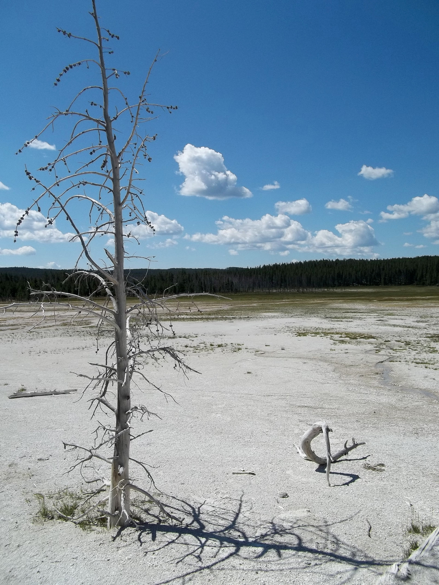 Kodak EASYSHARE CAMERA, C1530 sample photo. Yellowstone 3 photography