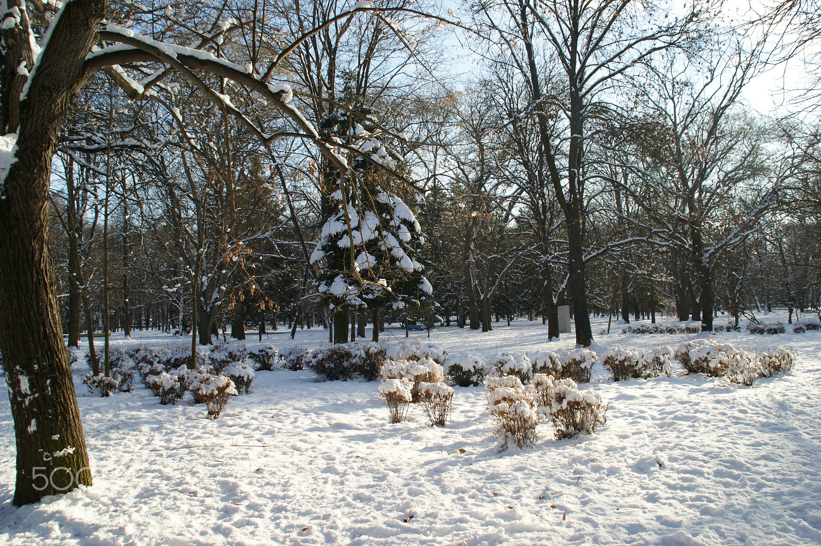 Sony DT 18-200mm F3.5-6.3 sample photo. Park in the winter photography