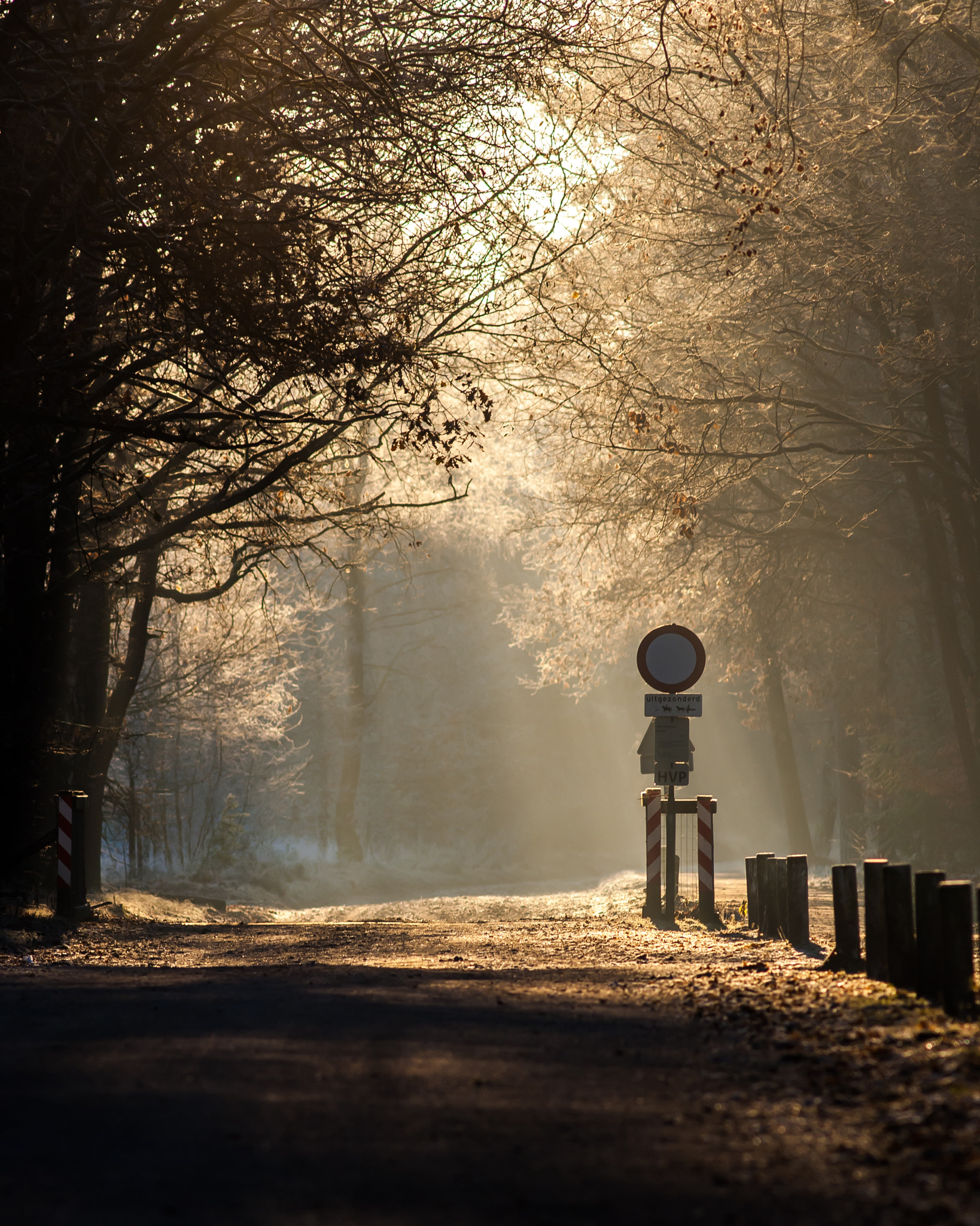 Sony Alpha DSLR-A200 sample photo. Morning sunrise photography