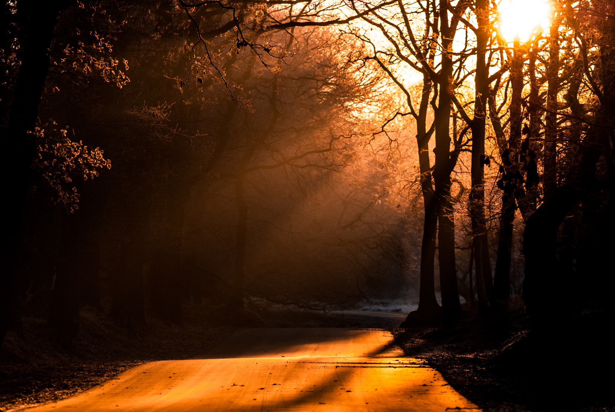 Sony Alpha DSLR-A200 + Minolta AF 200mm F2.8 HS-APO G sample photo. Sunrays during sunrise photography
