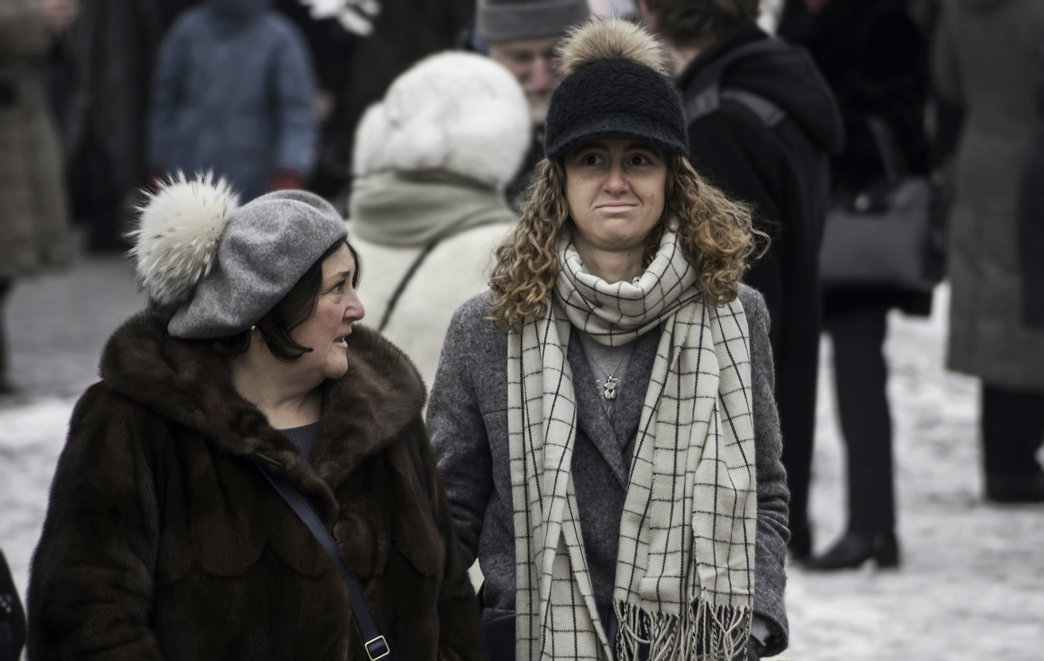 HD Pentax DA 55-300mm F4.0-5.8 ED WR sample photo. My favorite muscovites!! photography