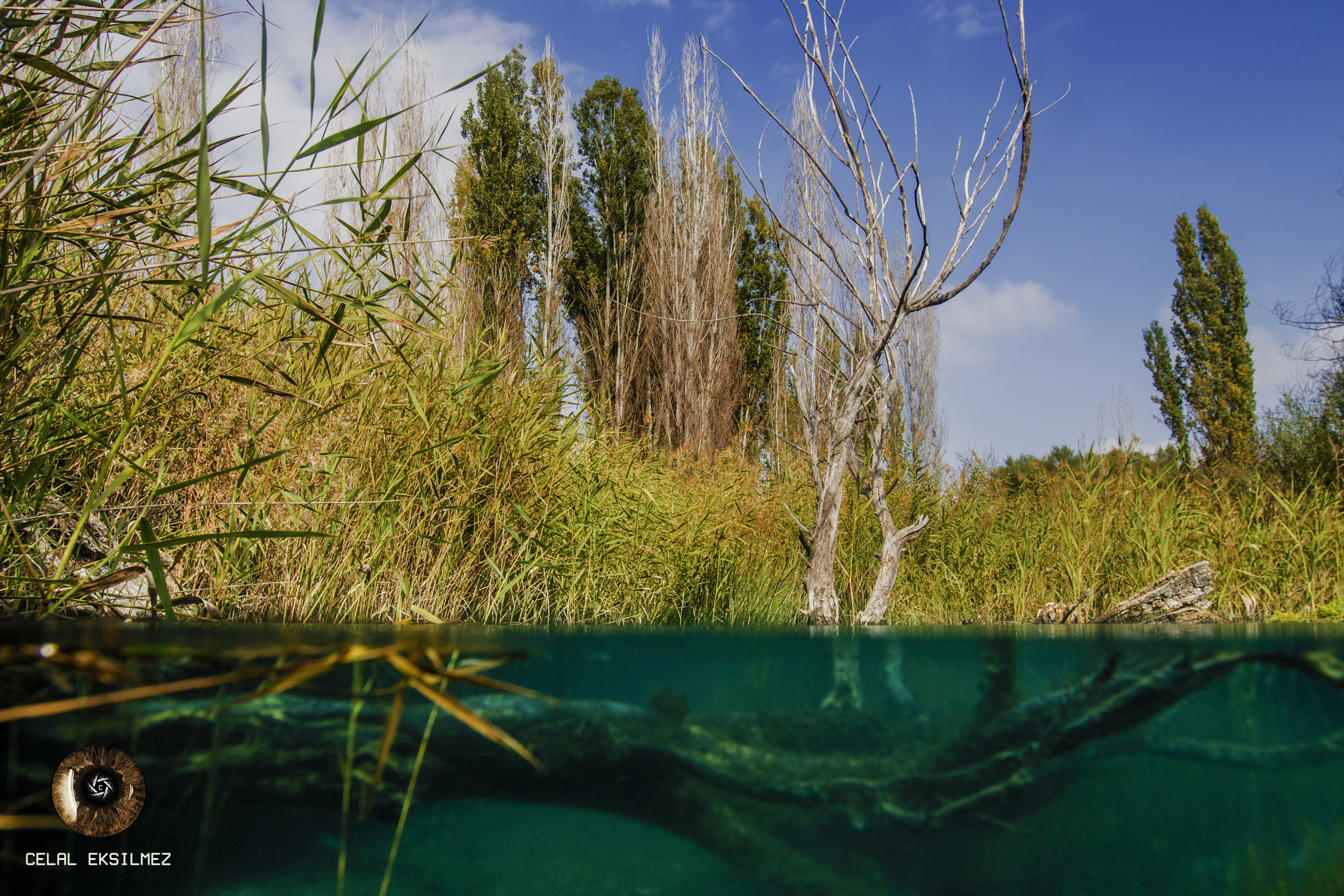 Canon EF 16-35mm F2.8L II USM sample photo. Sakarya rİver/Çİfteler photography