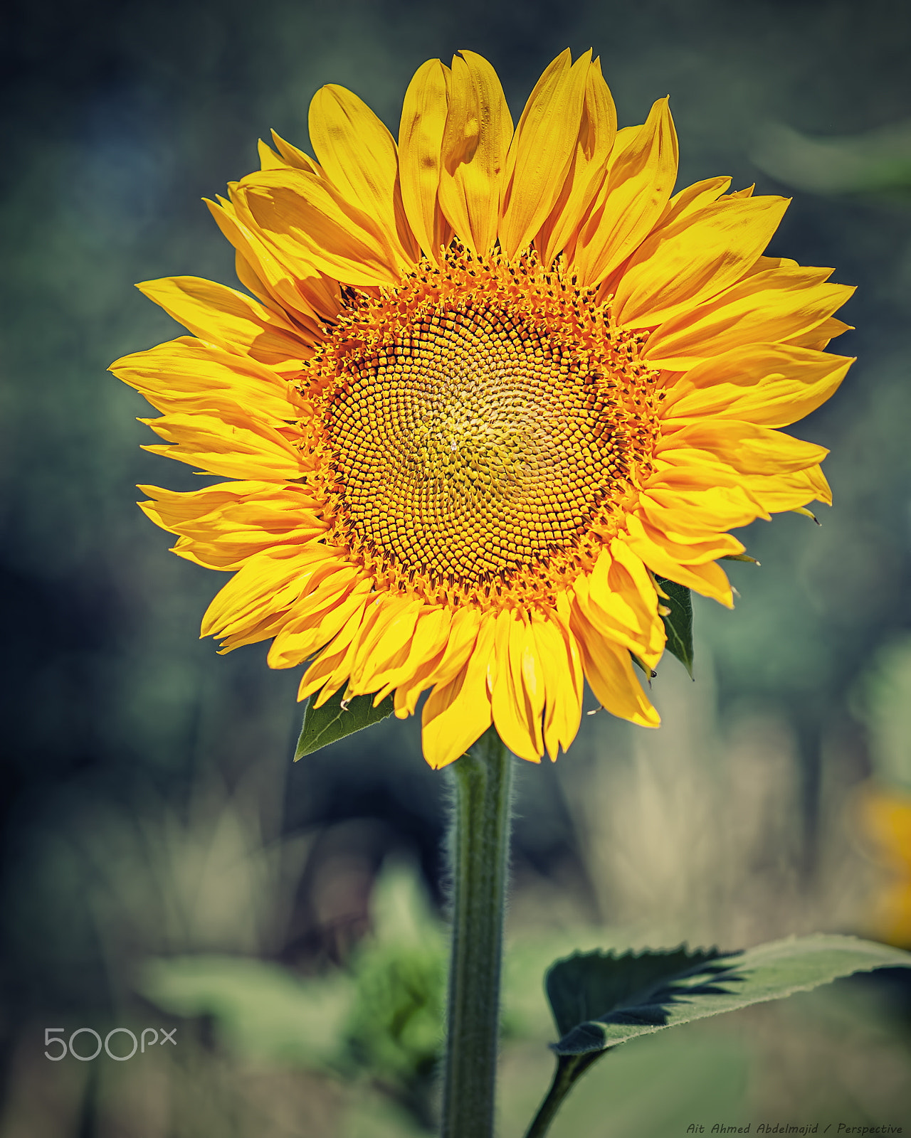 Nikon D200 sample photo. New day...!! photography