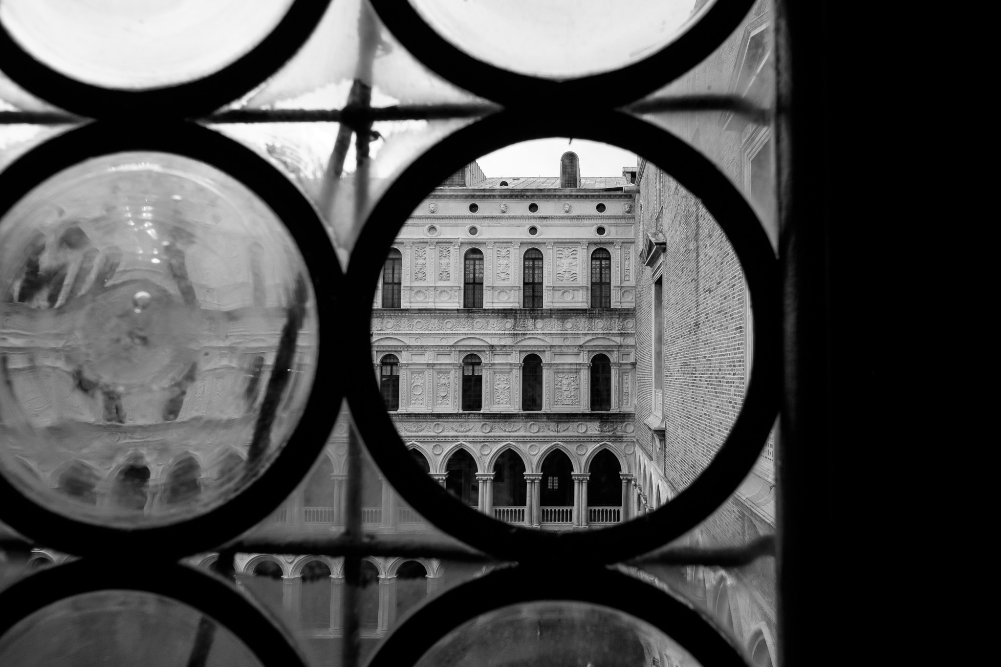 ZEISS Touit 12mm F2.8 sample photo. Doge's view ii photography