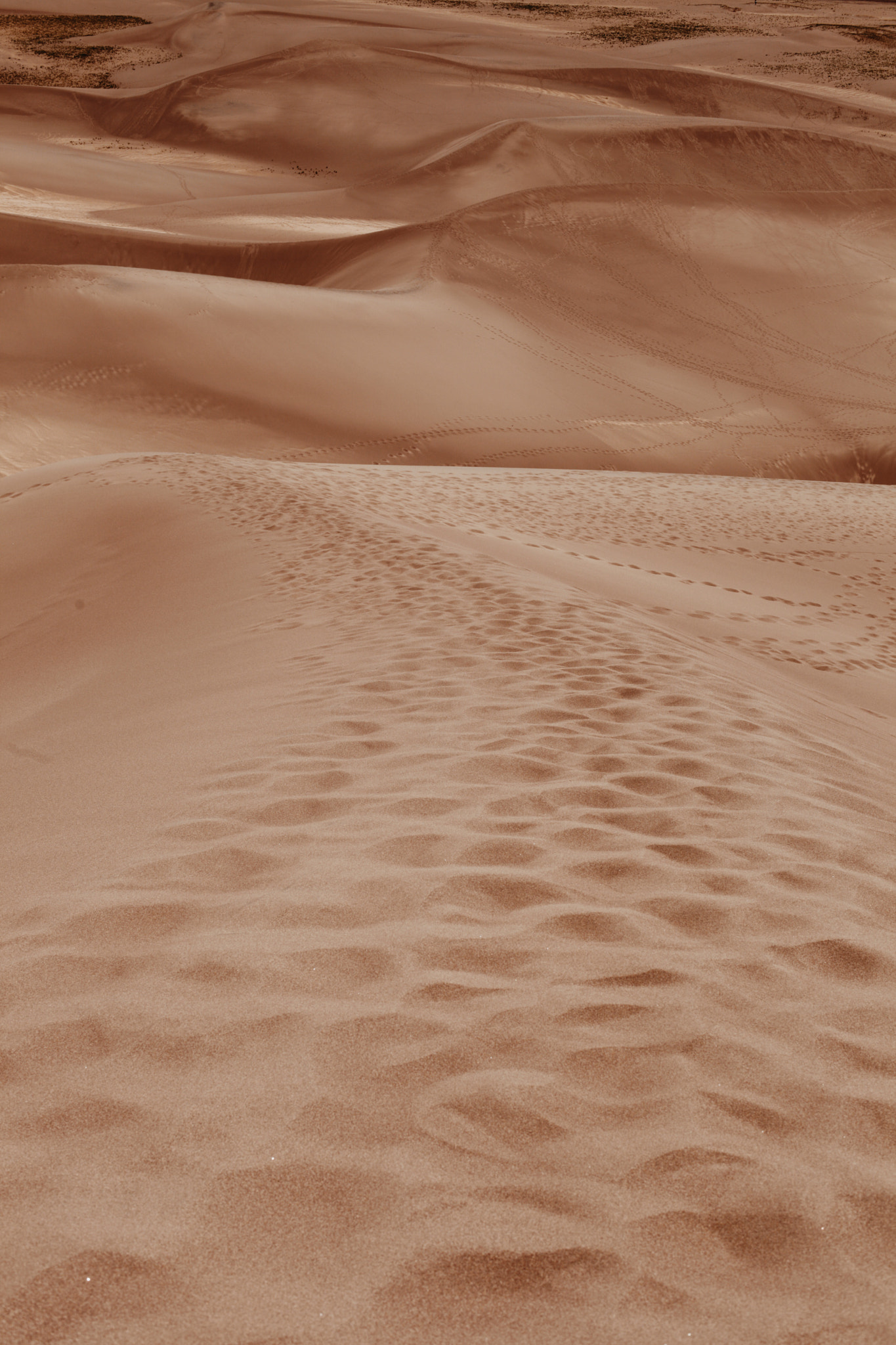 Canon EOS 5D Mark II sample photo. Great sand dunes national park, colorado. photography