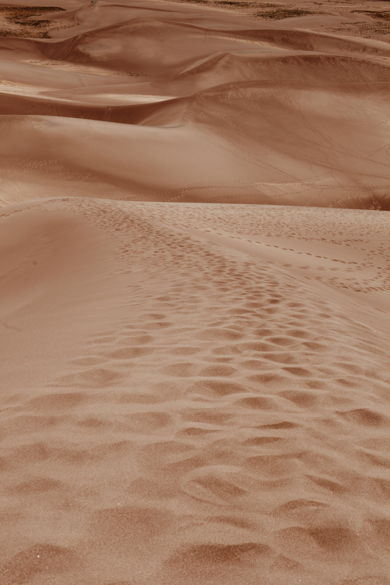 Canon EF 50mm F1.4 USM sample photo. Great sand dunes national park, colorado. photography