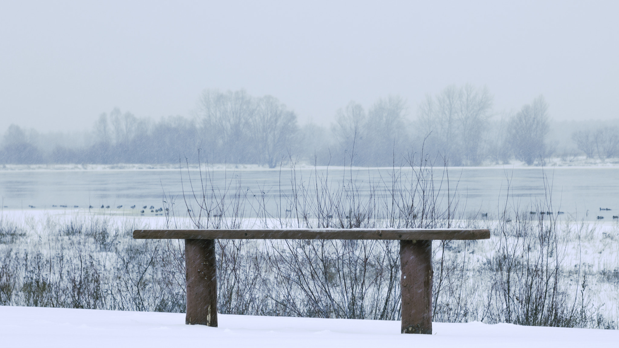 Canon EF 35-80mm f/4-5.6 sample photo. *** photography
