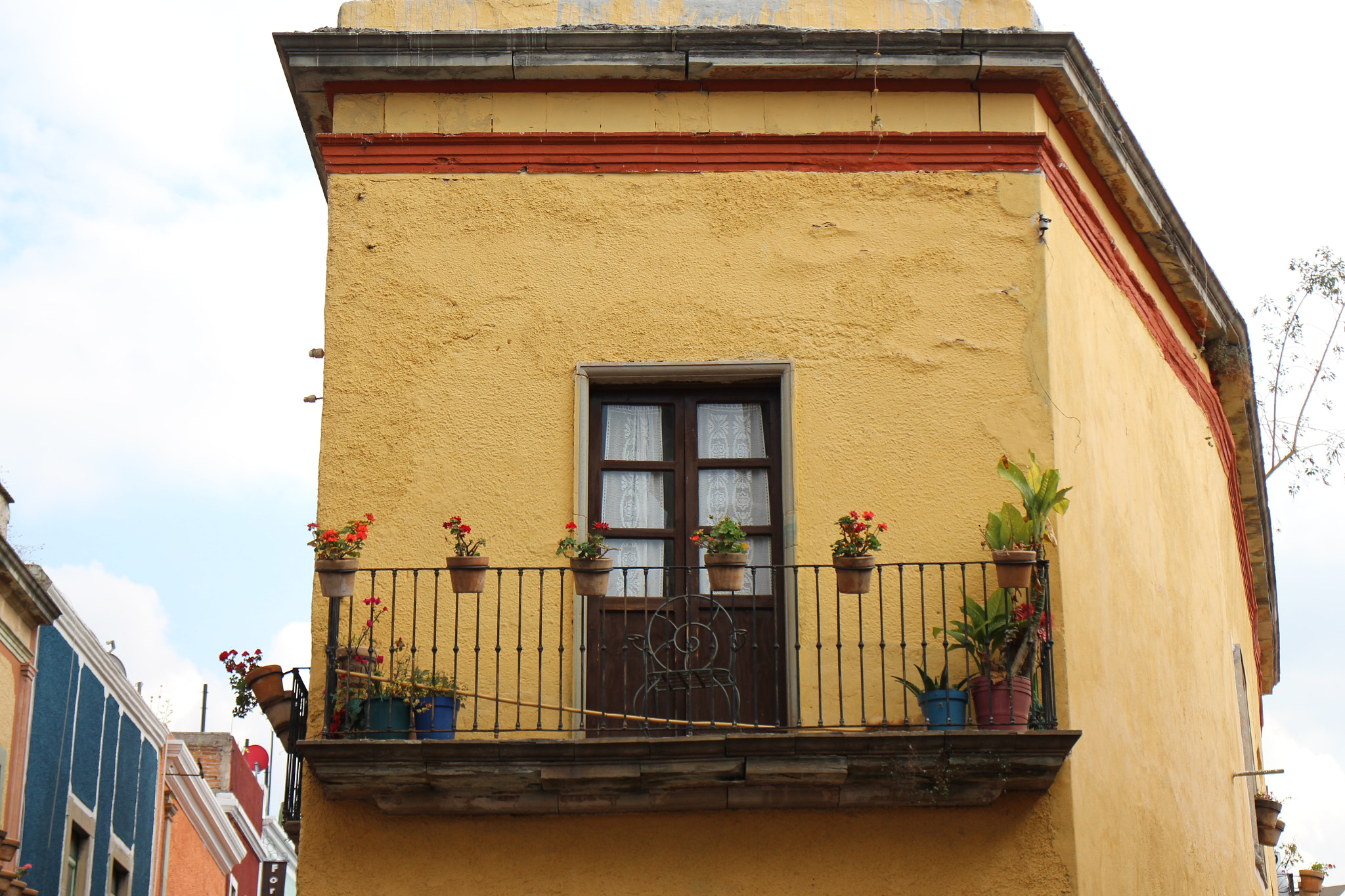 Canon EOS M2 sample photo. Flowers in a window photography