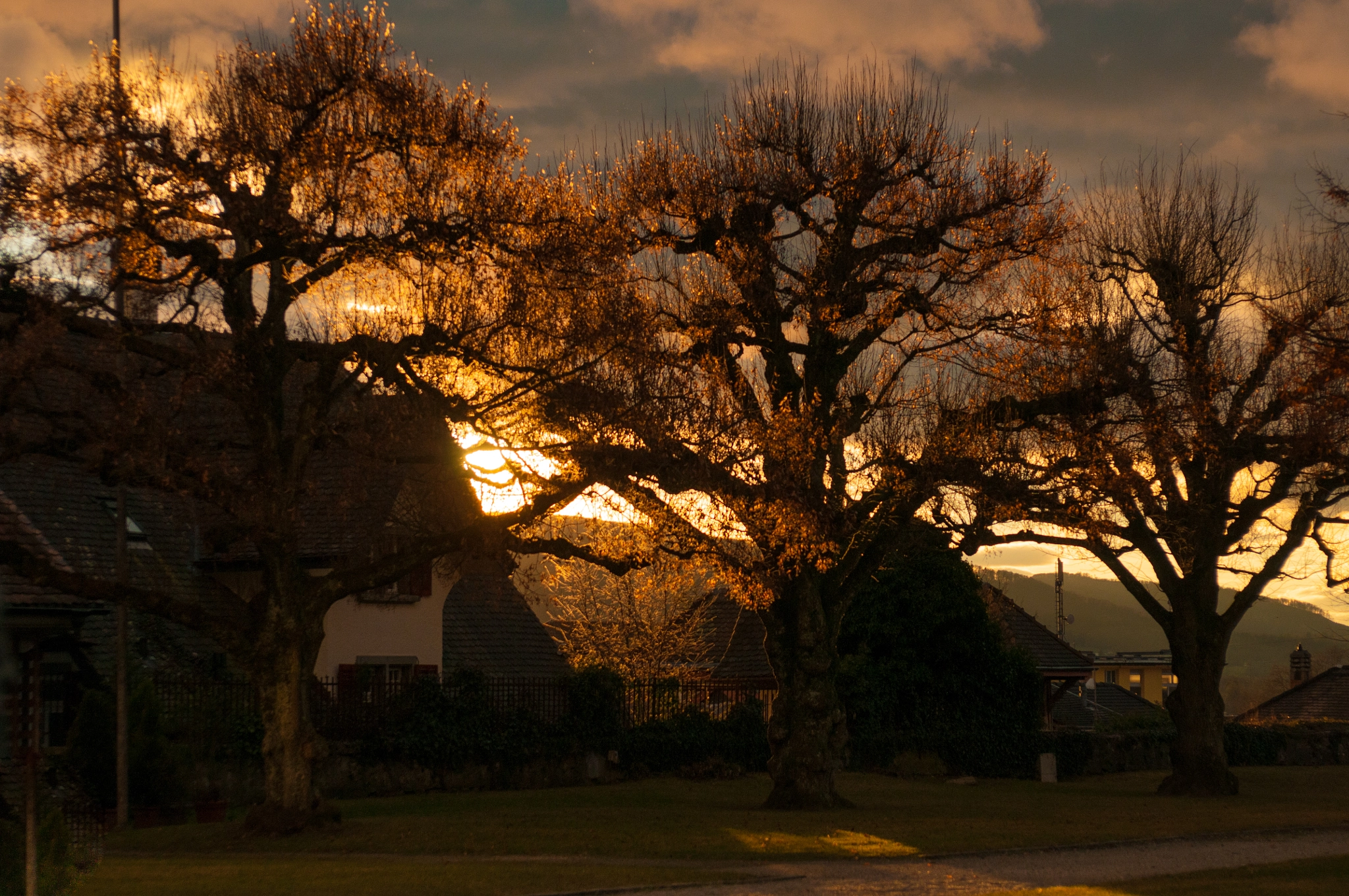 AF Zoom-Nikkor 28-85mm f/3.5-4.5 sample photo. Hobbingen photography