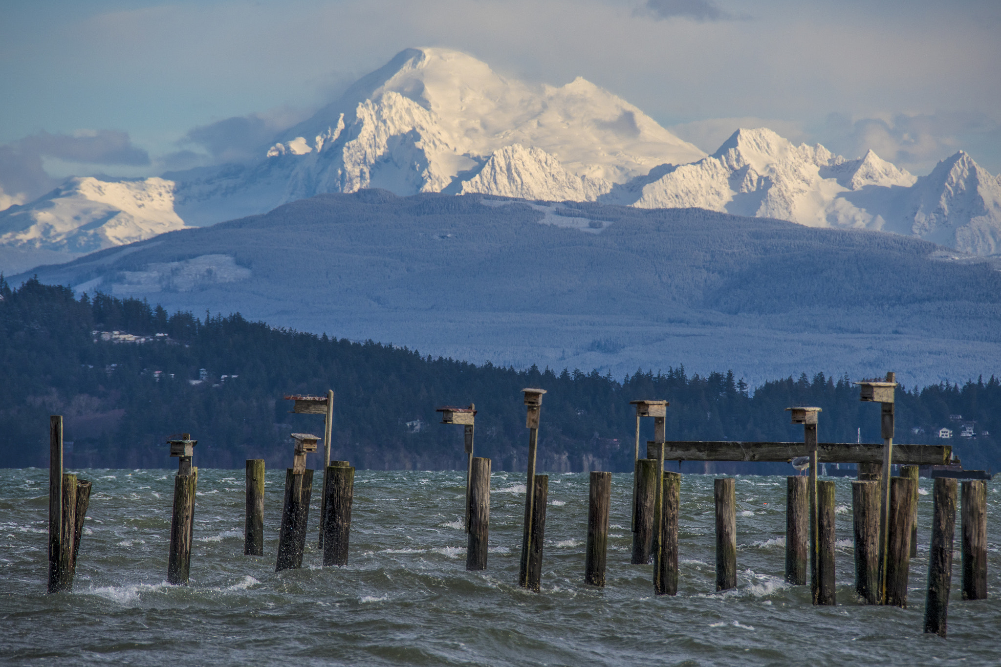 Nikon D500 sample photo. Mount baker from anacortes photography