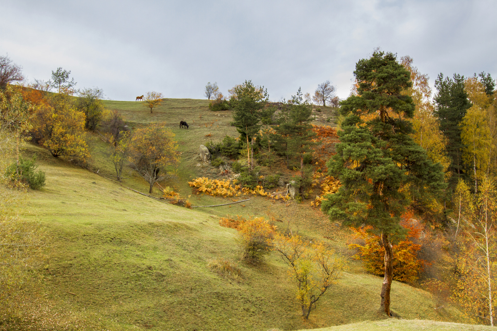 Canon EOS 7D + Canon EF 16-35mm F2.8L USM sample photo. Mg photography